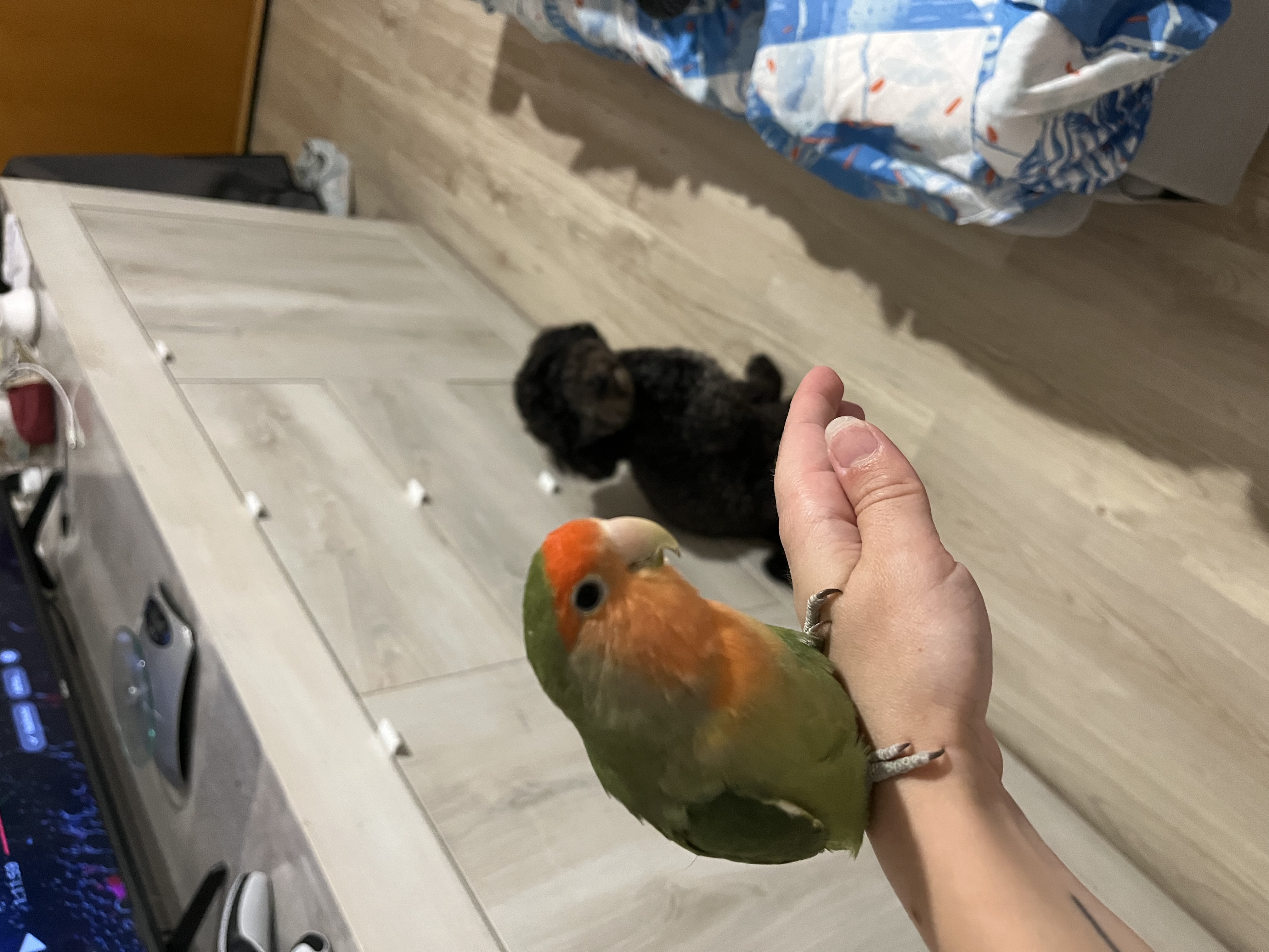 image-16