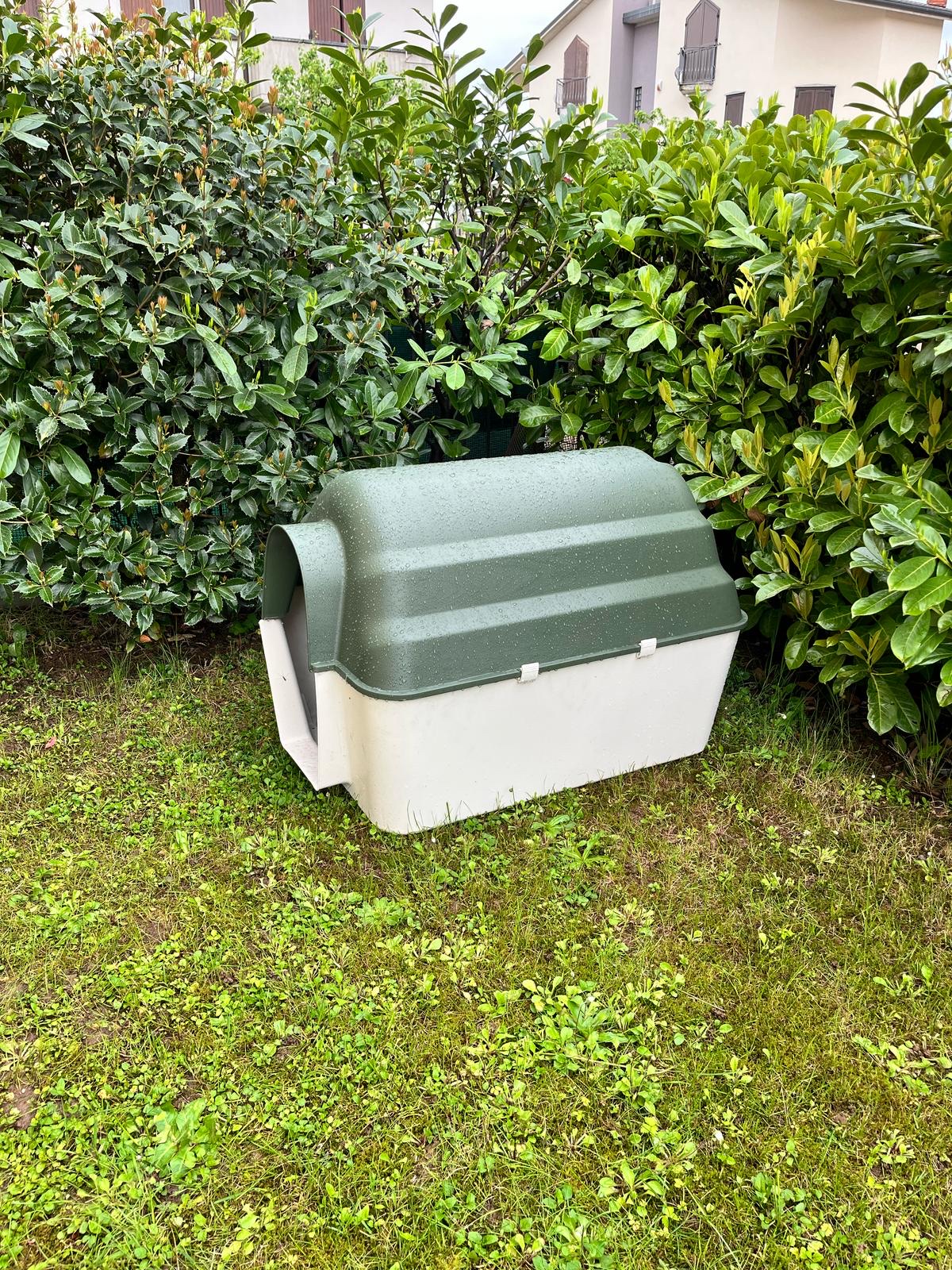 image-15