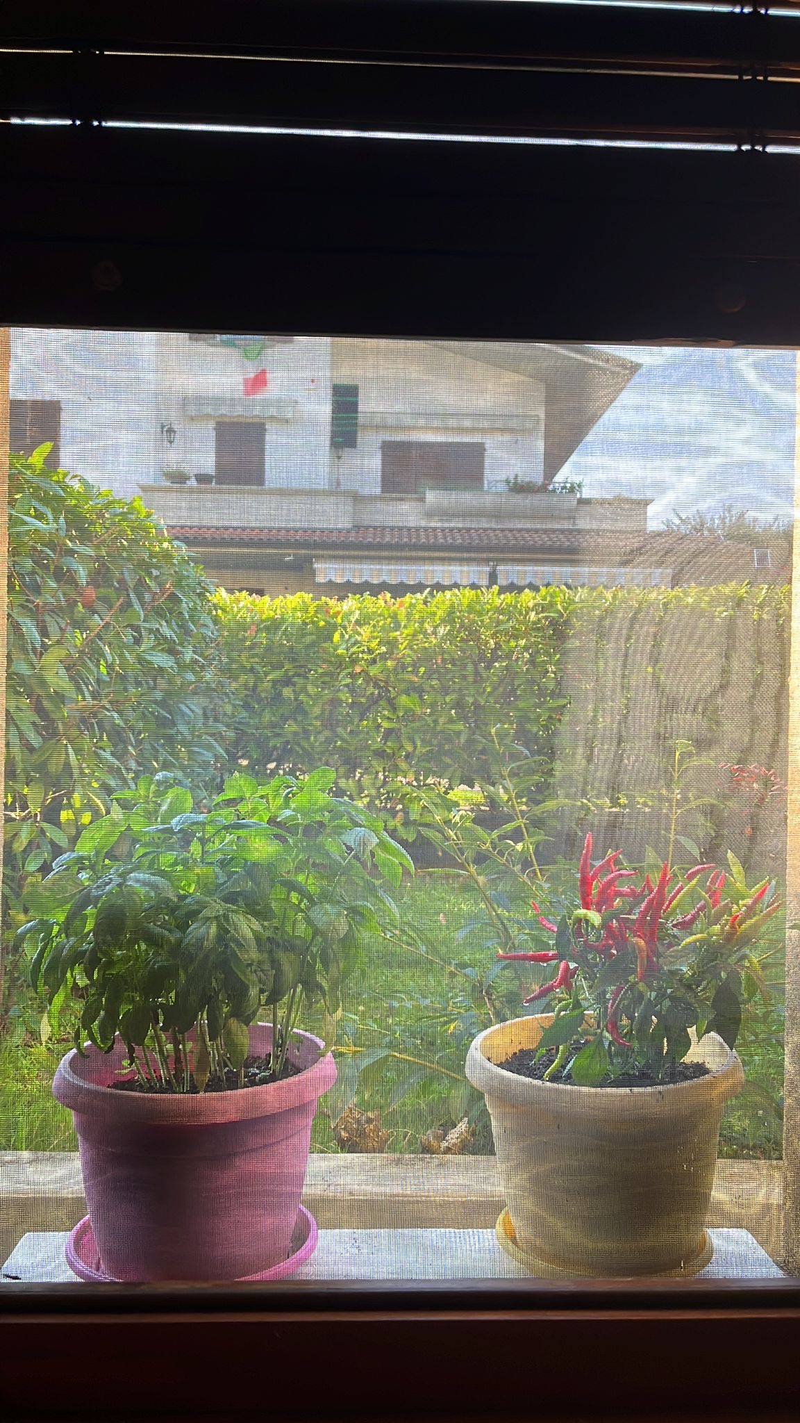 image-17
