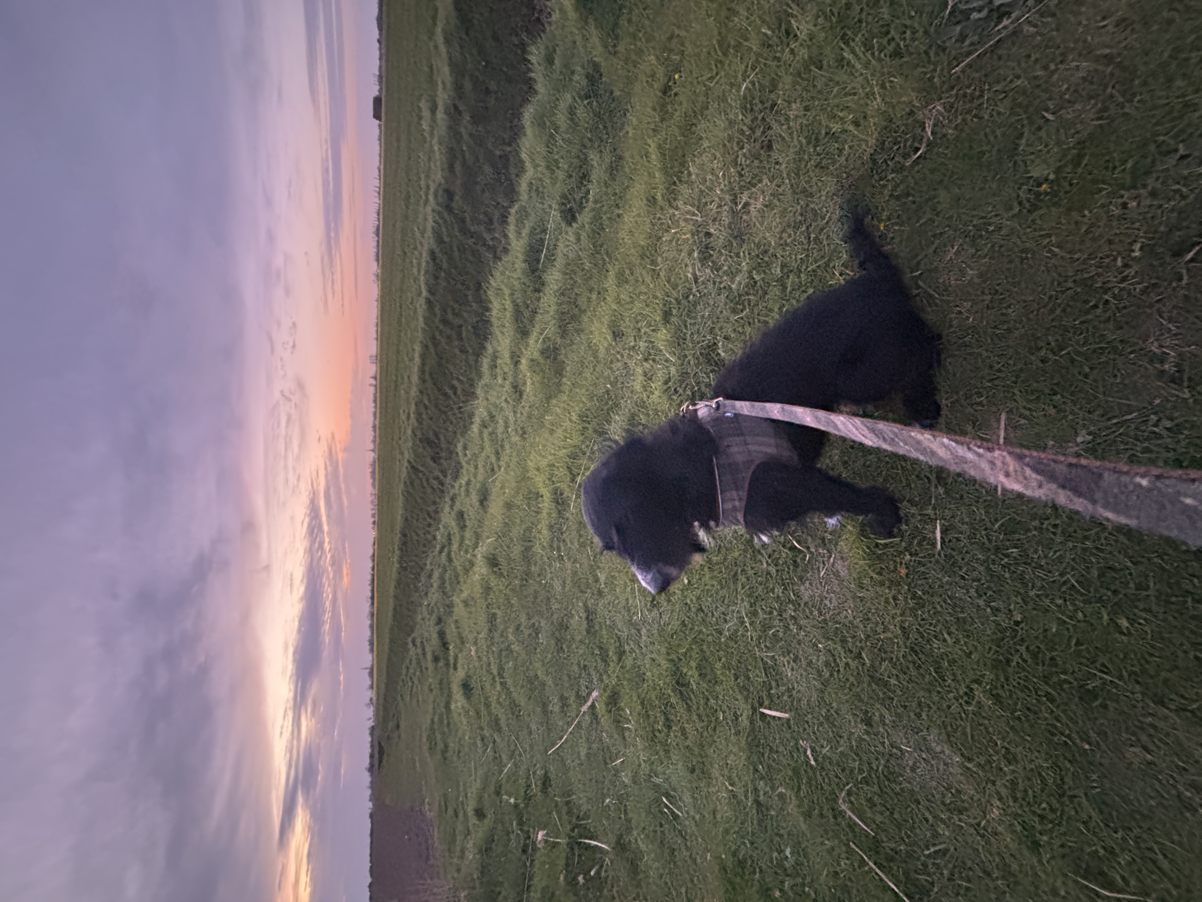 image-6