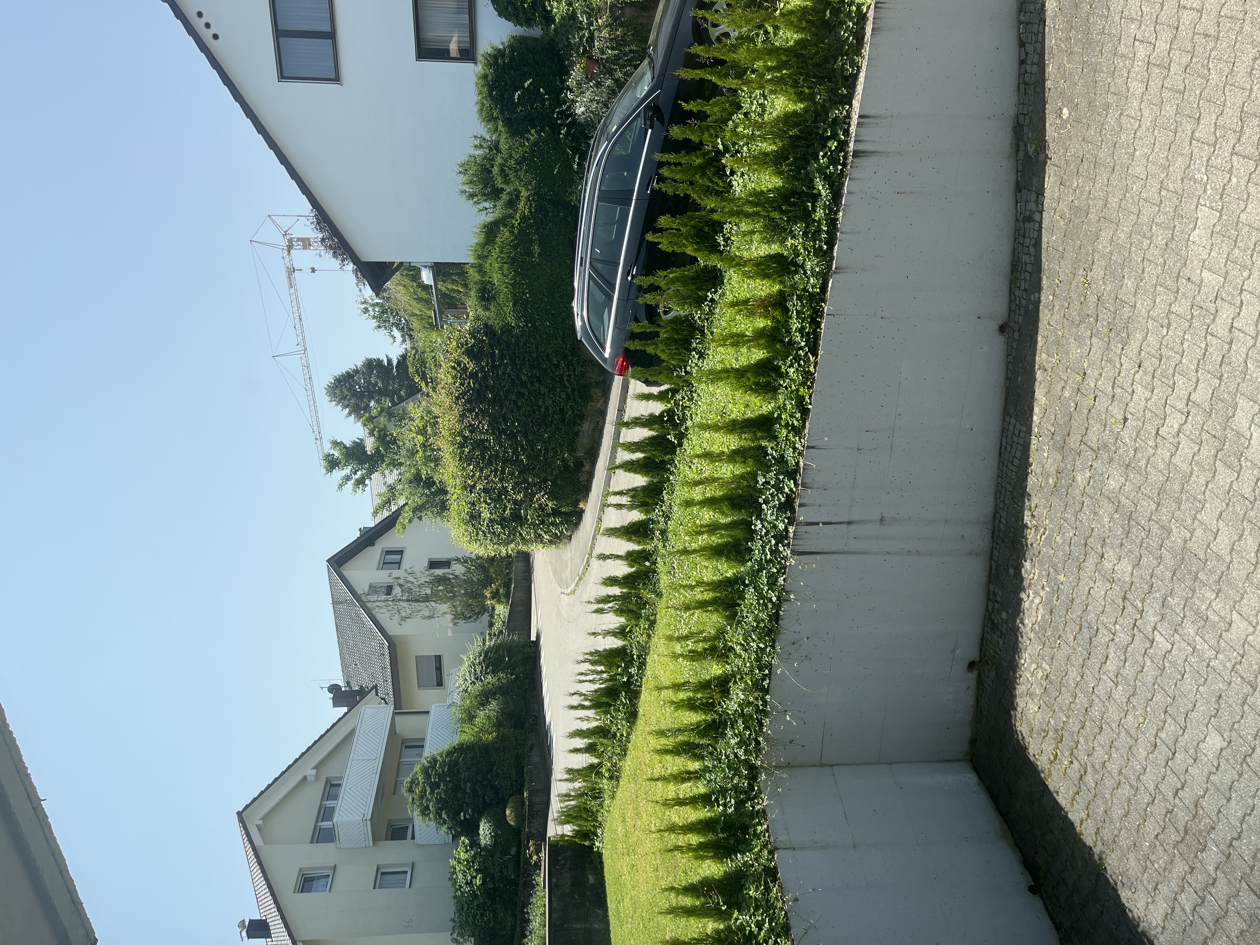 image-20