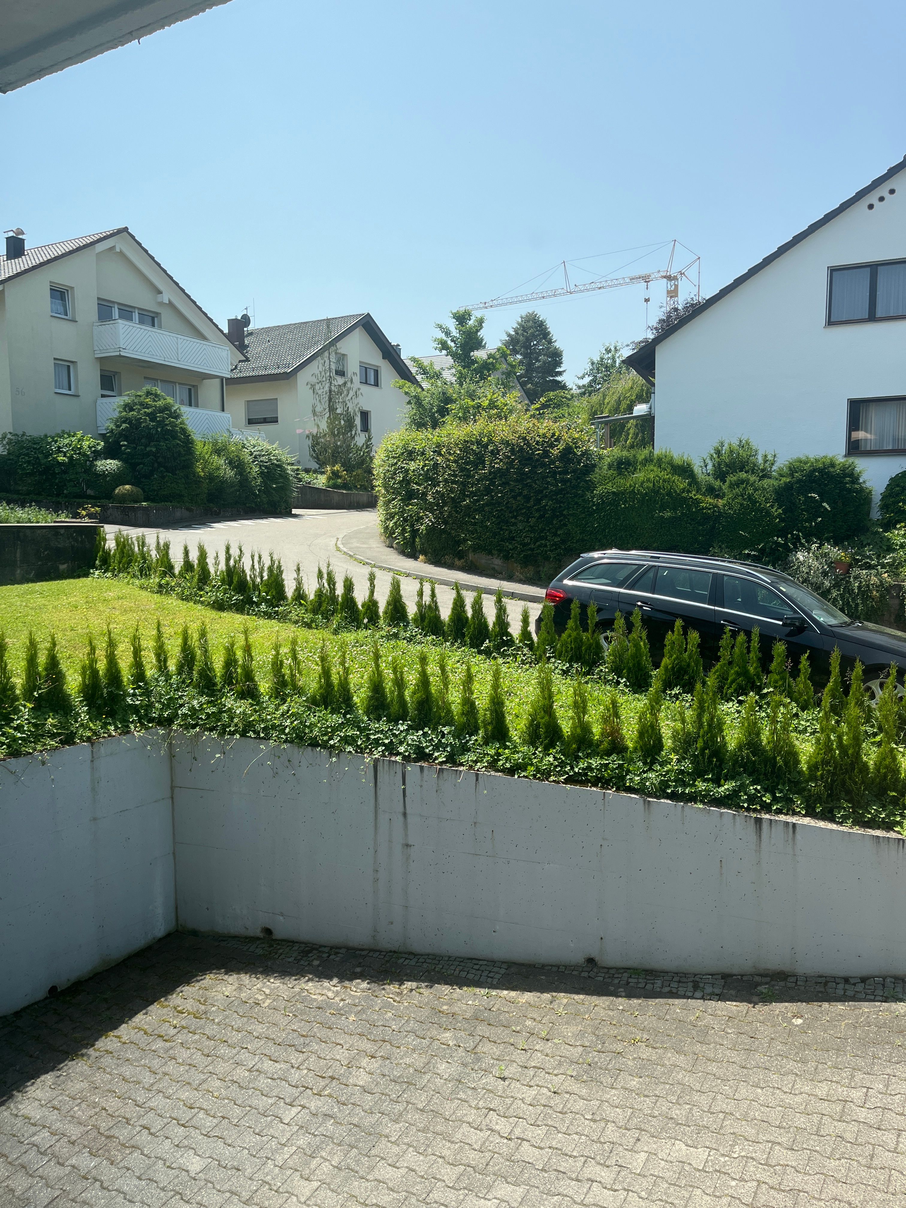 image-20