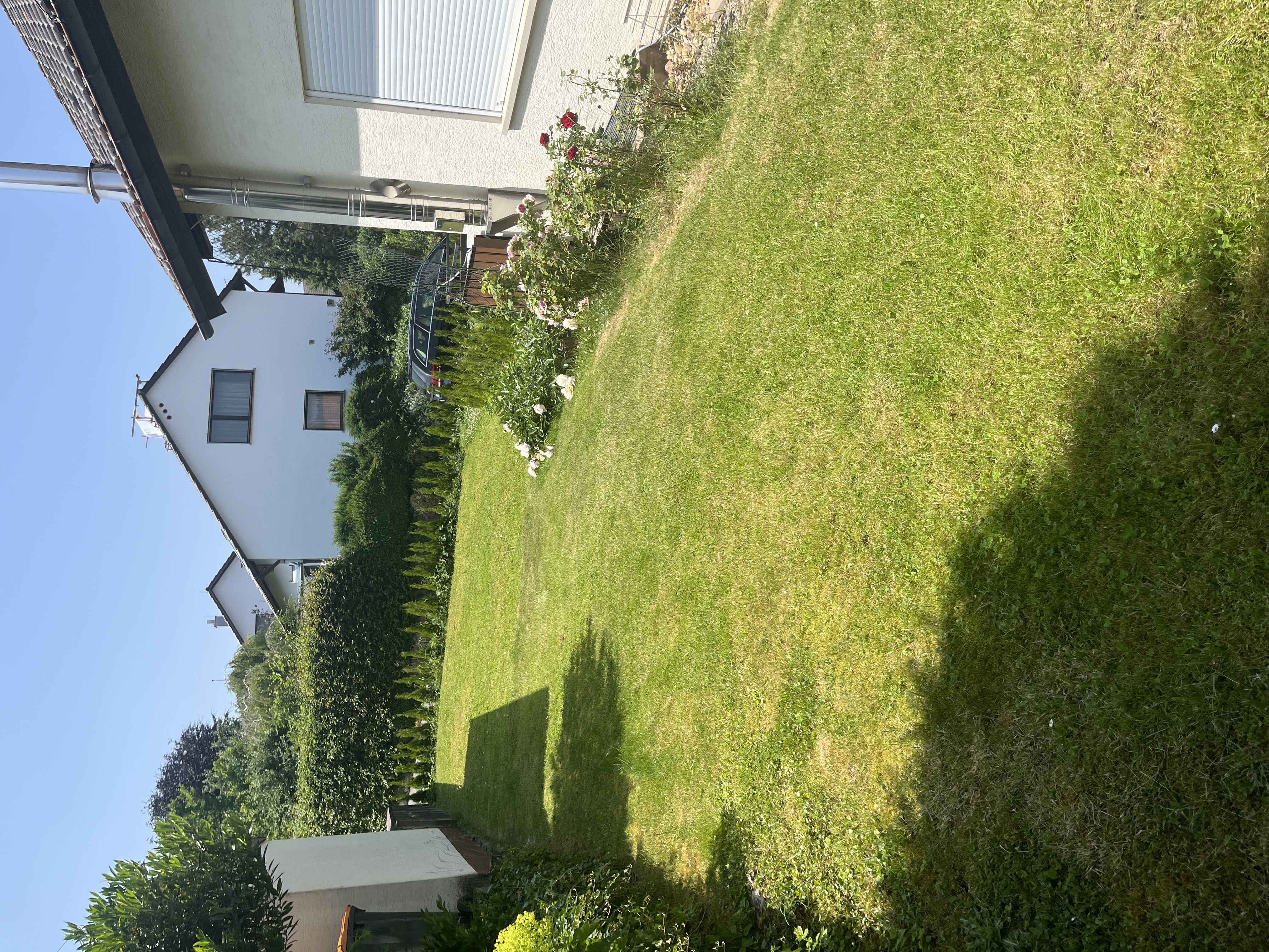 image-17