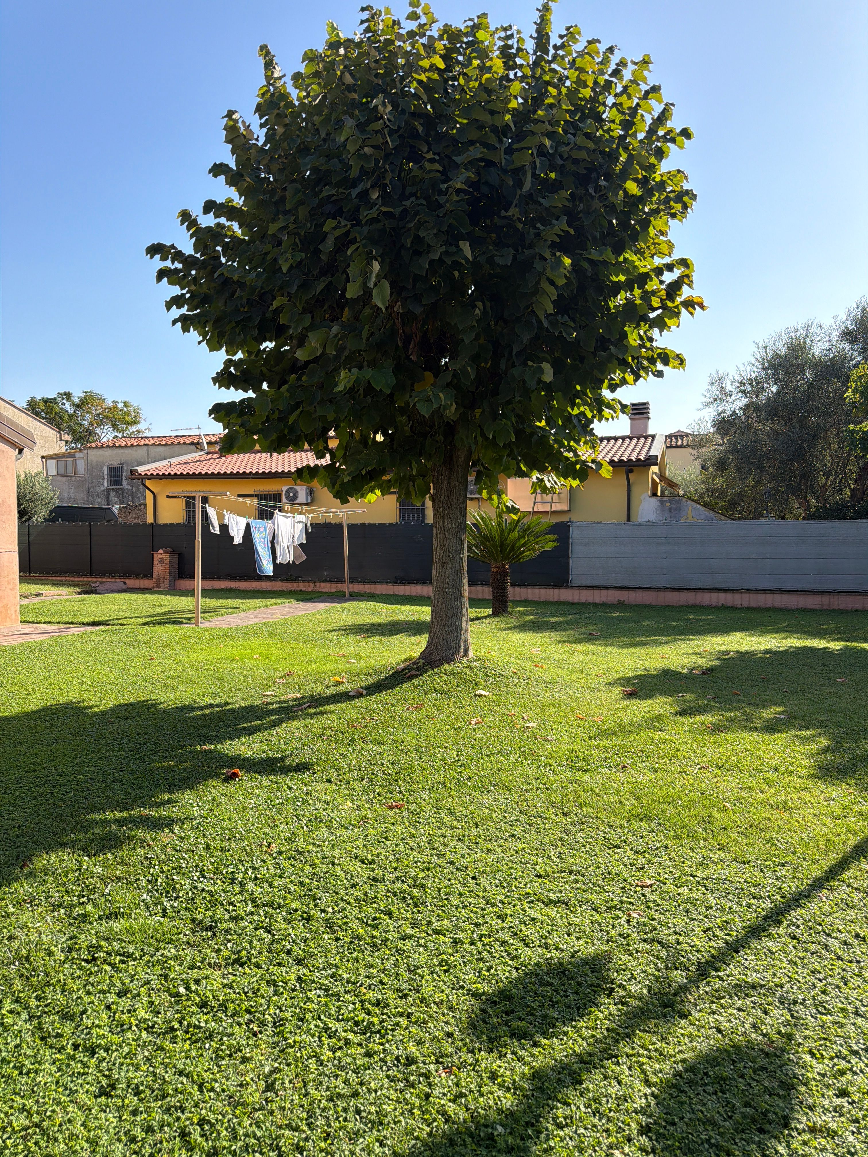 image-17