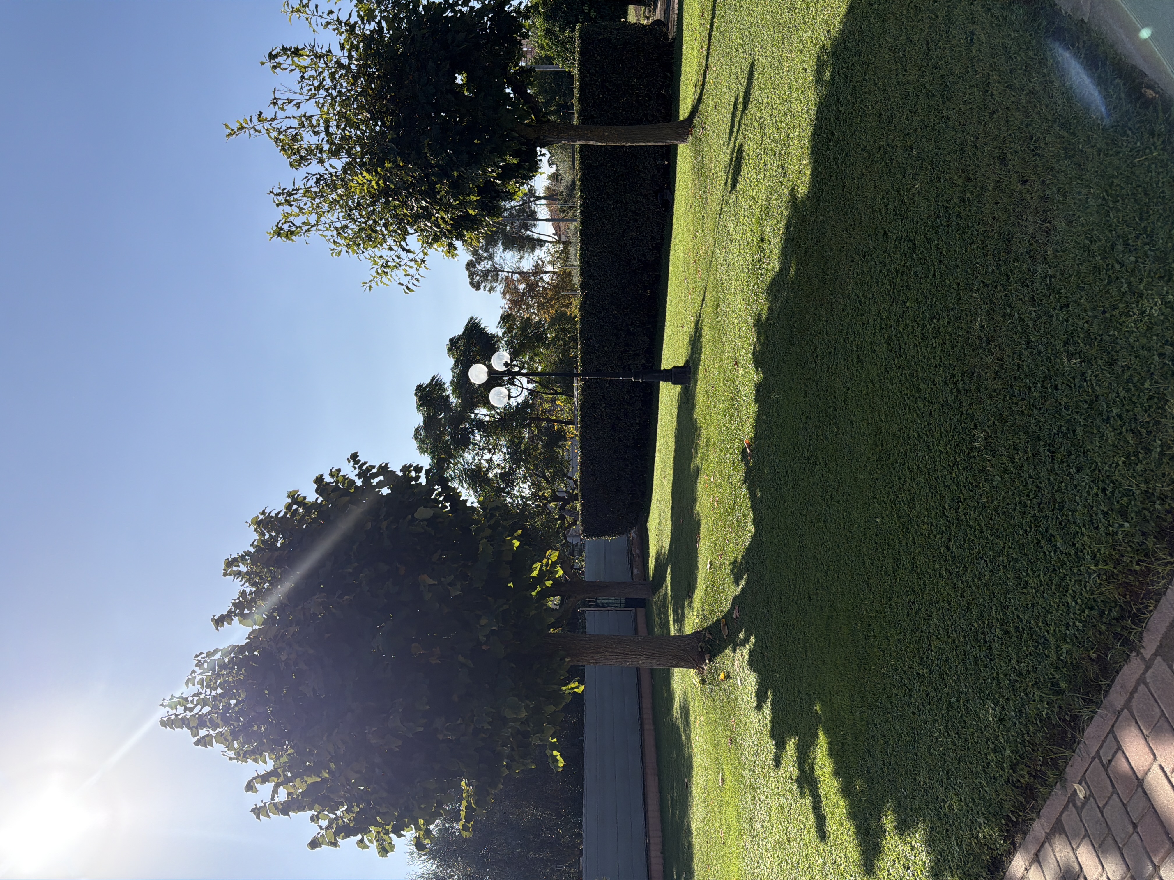 image-15