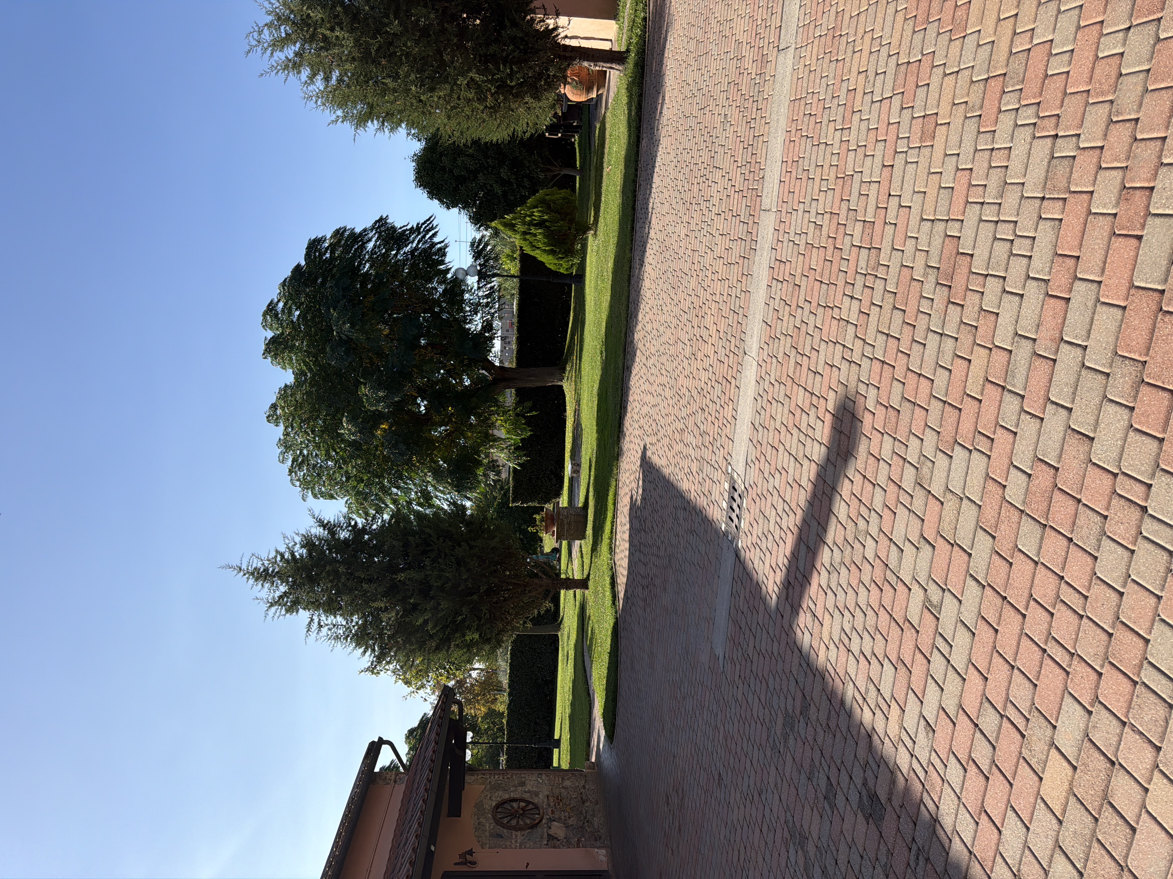 image-14