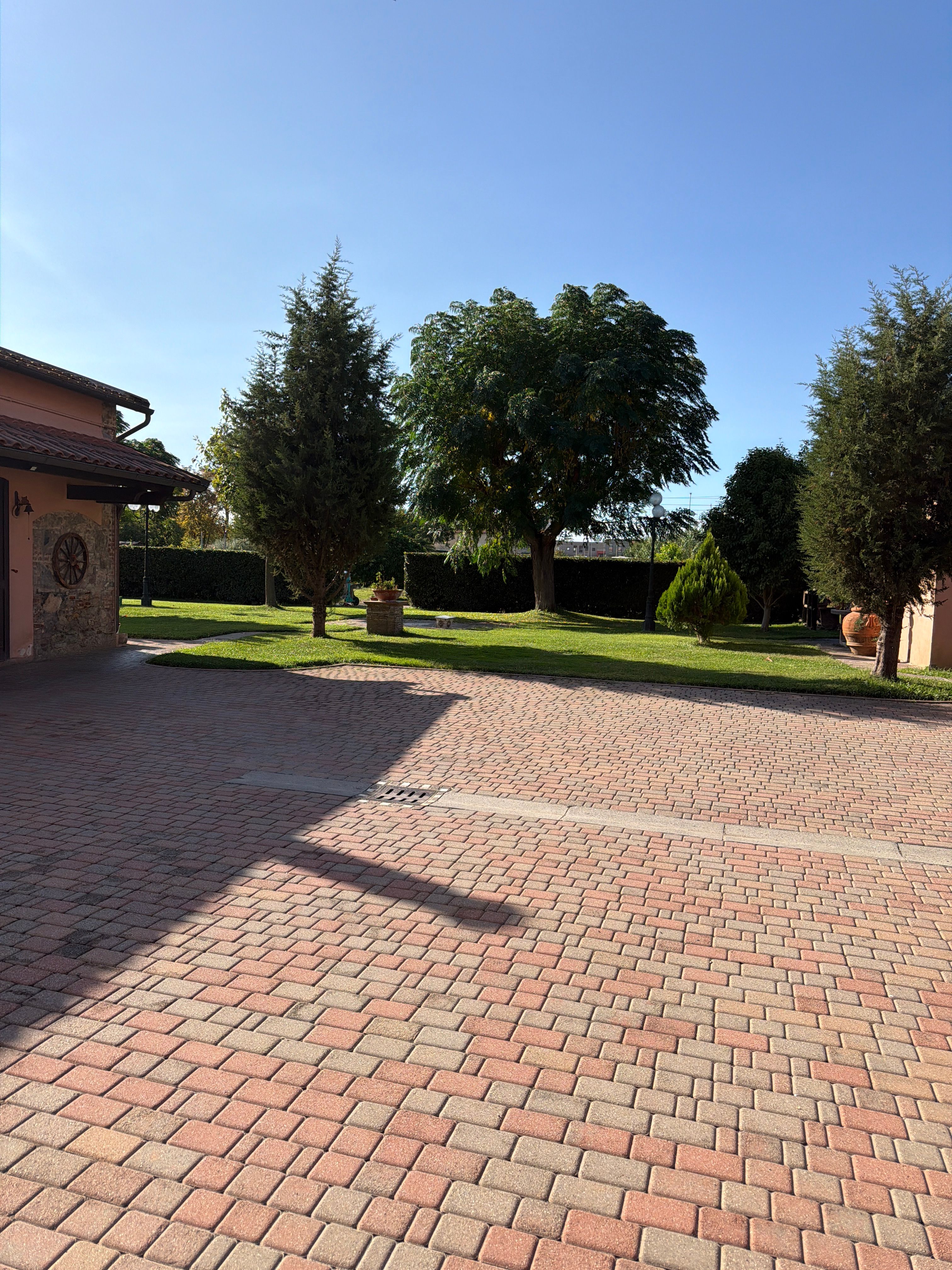 image-14