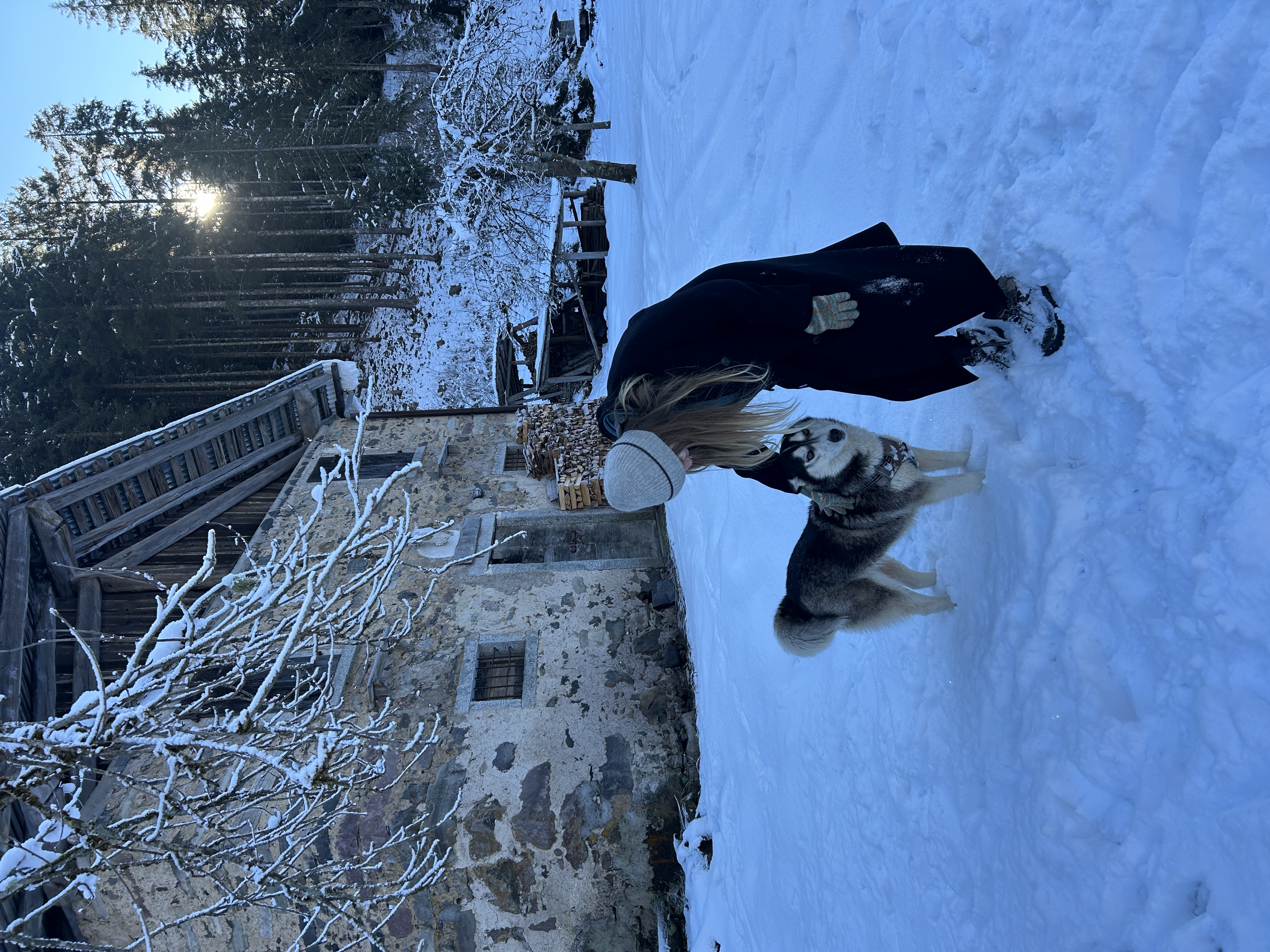 image-4