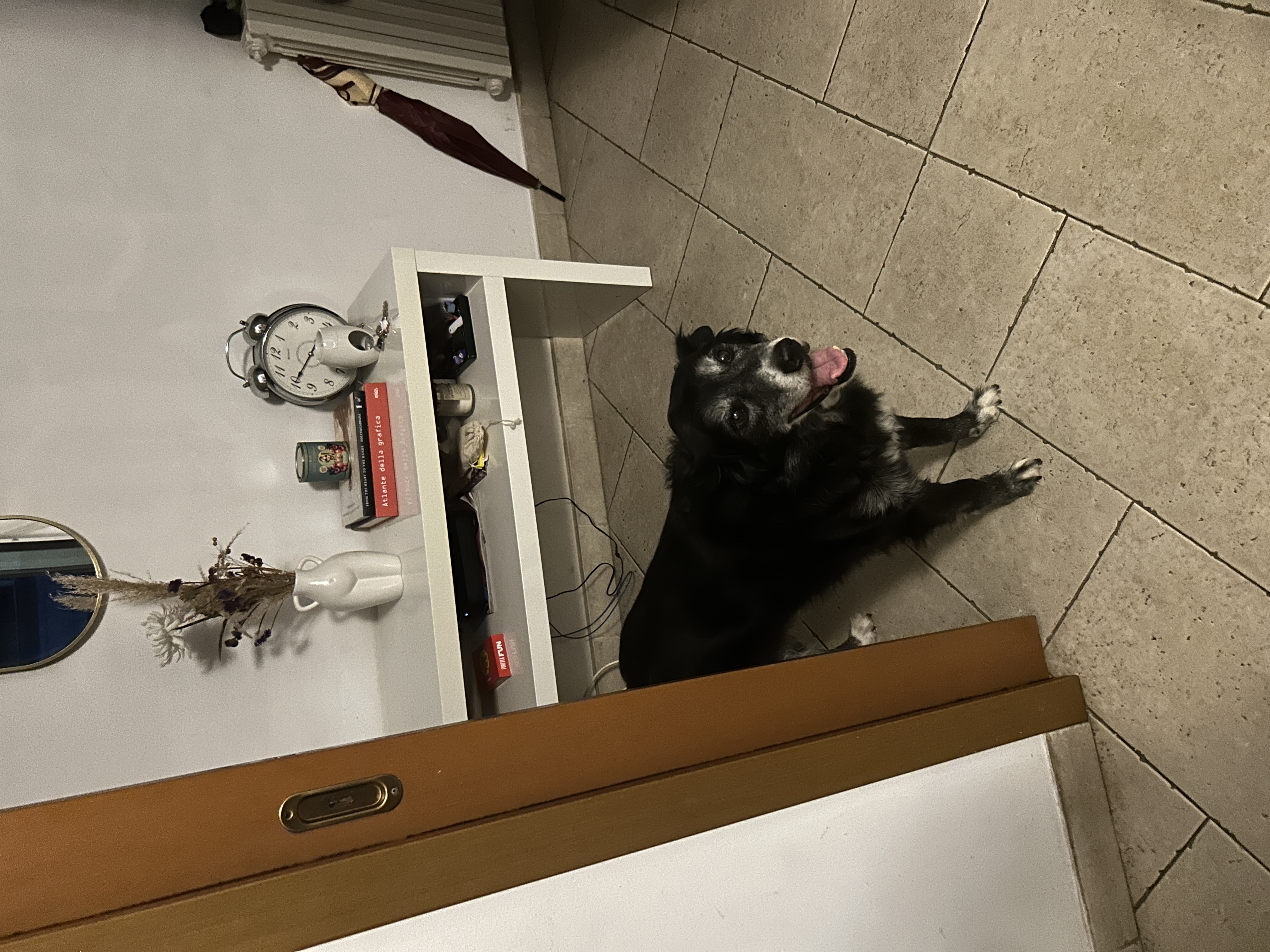 image-9