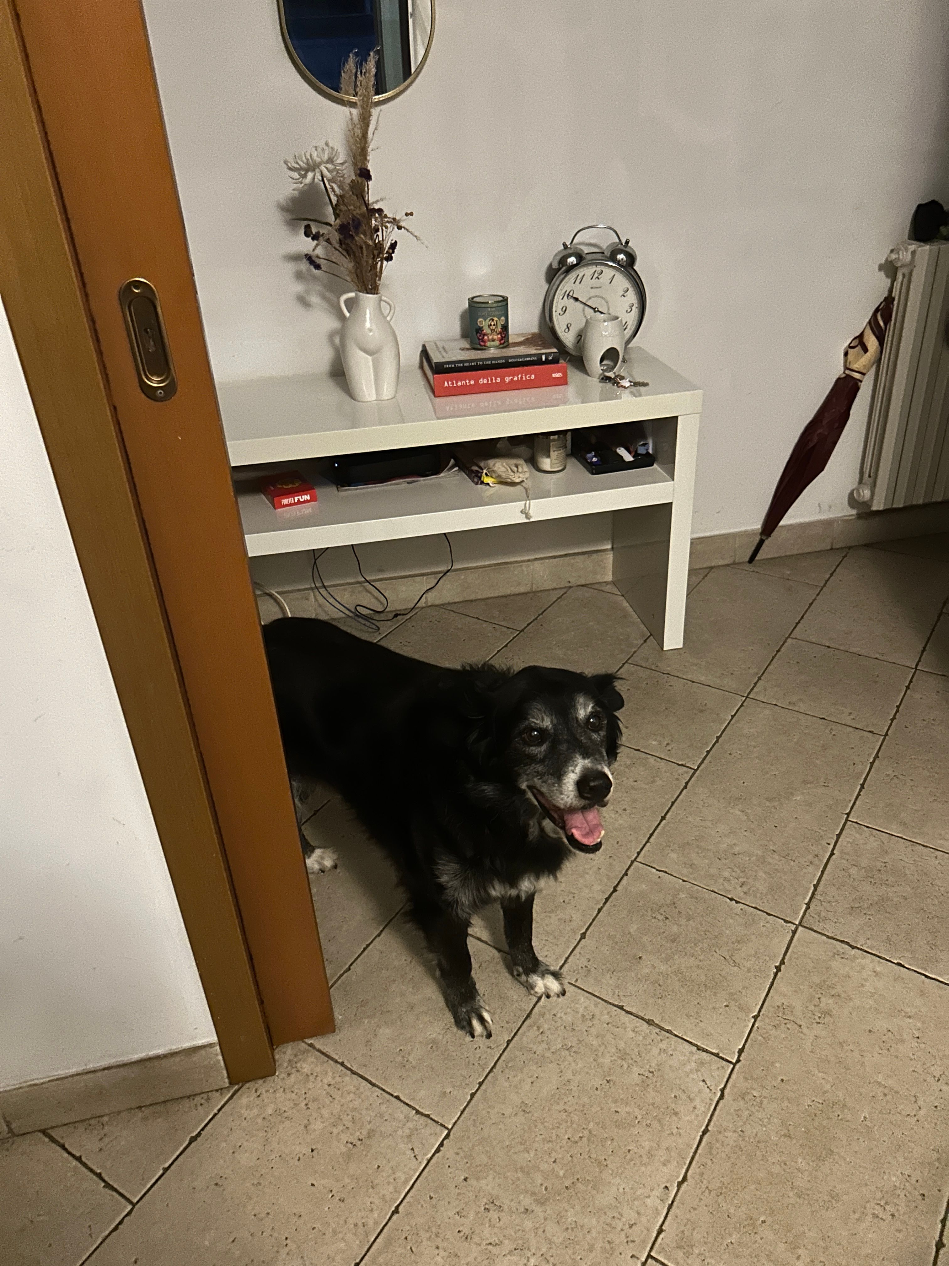 image-9