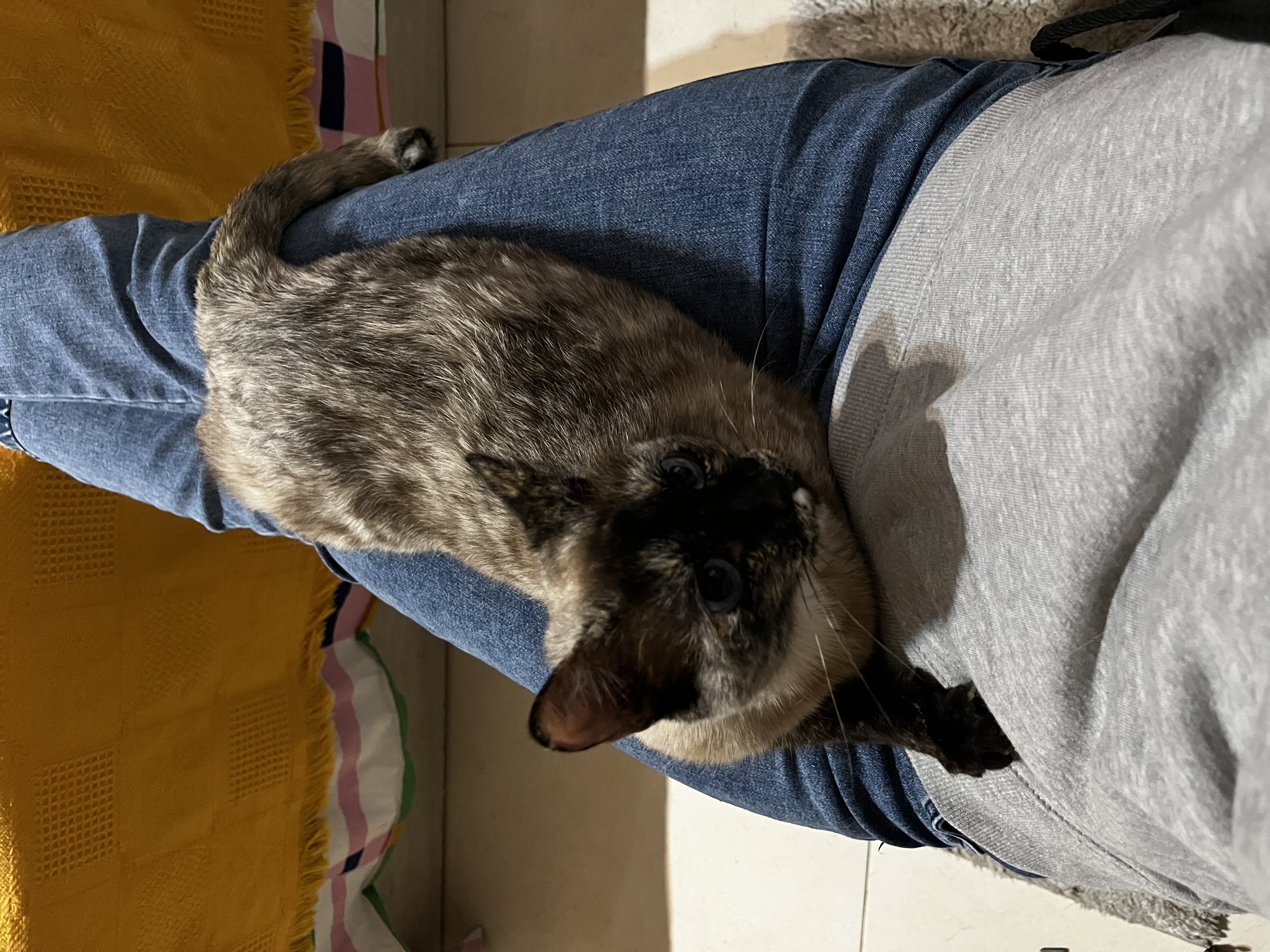 image-6