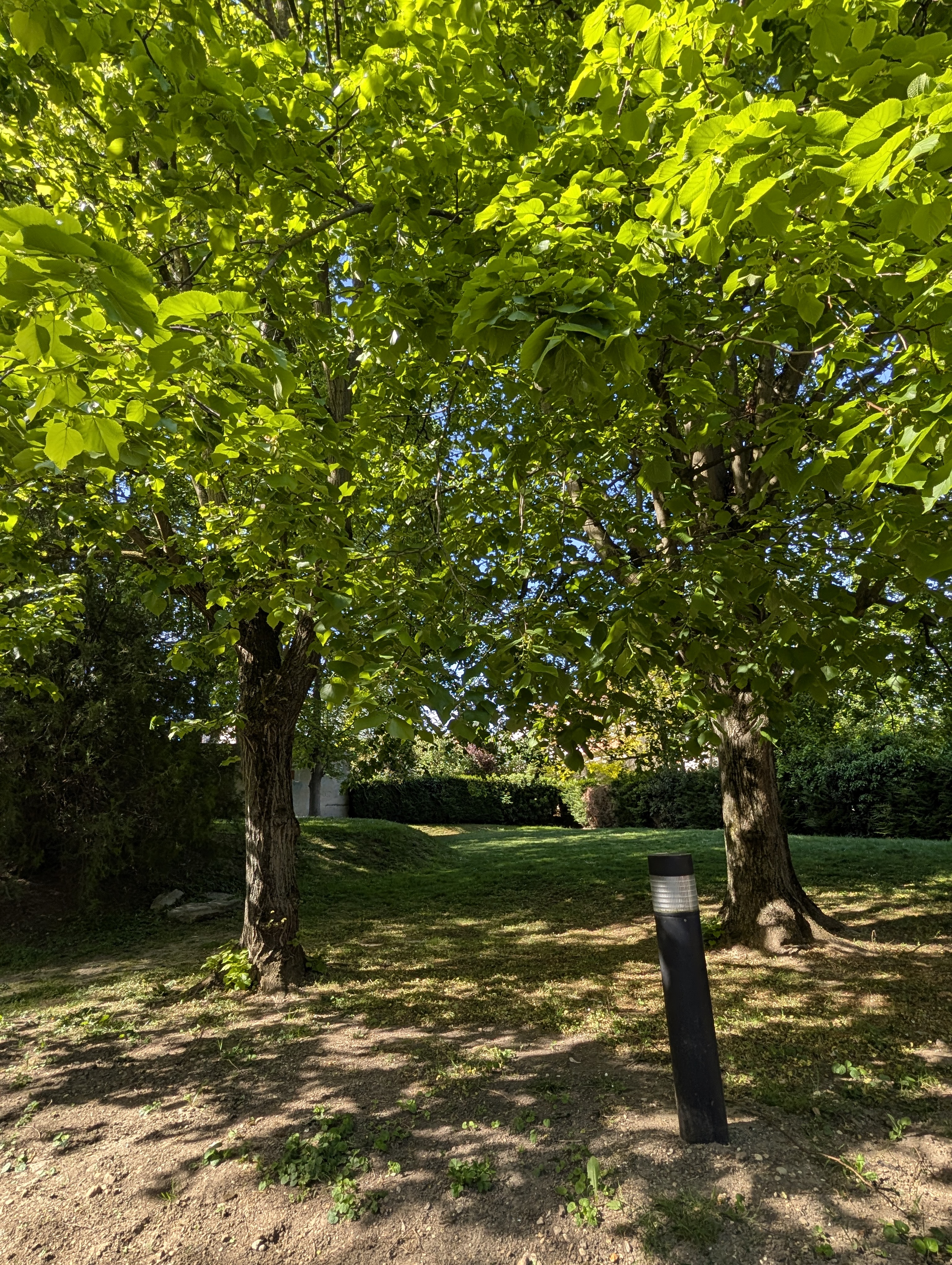 image-14