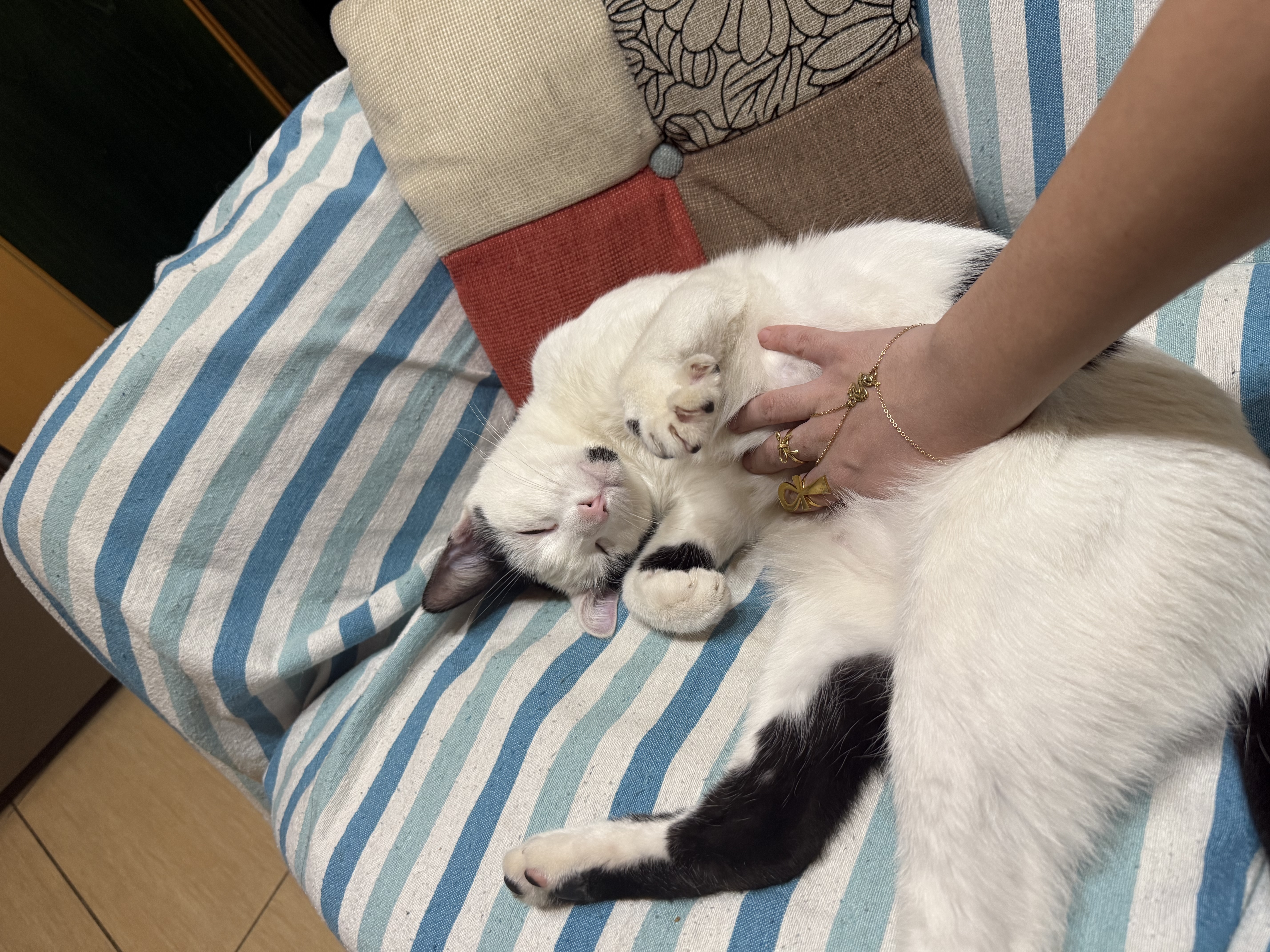 image-11