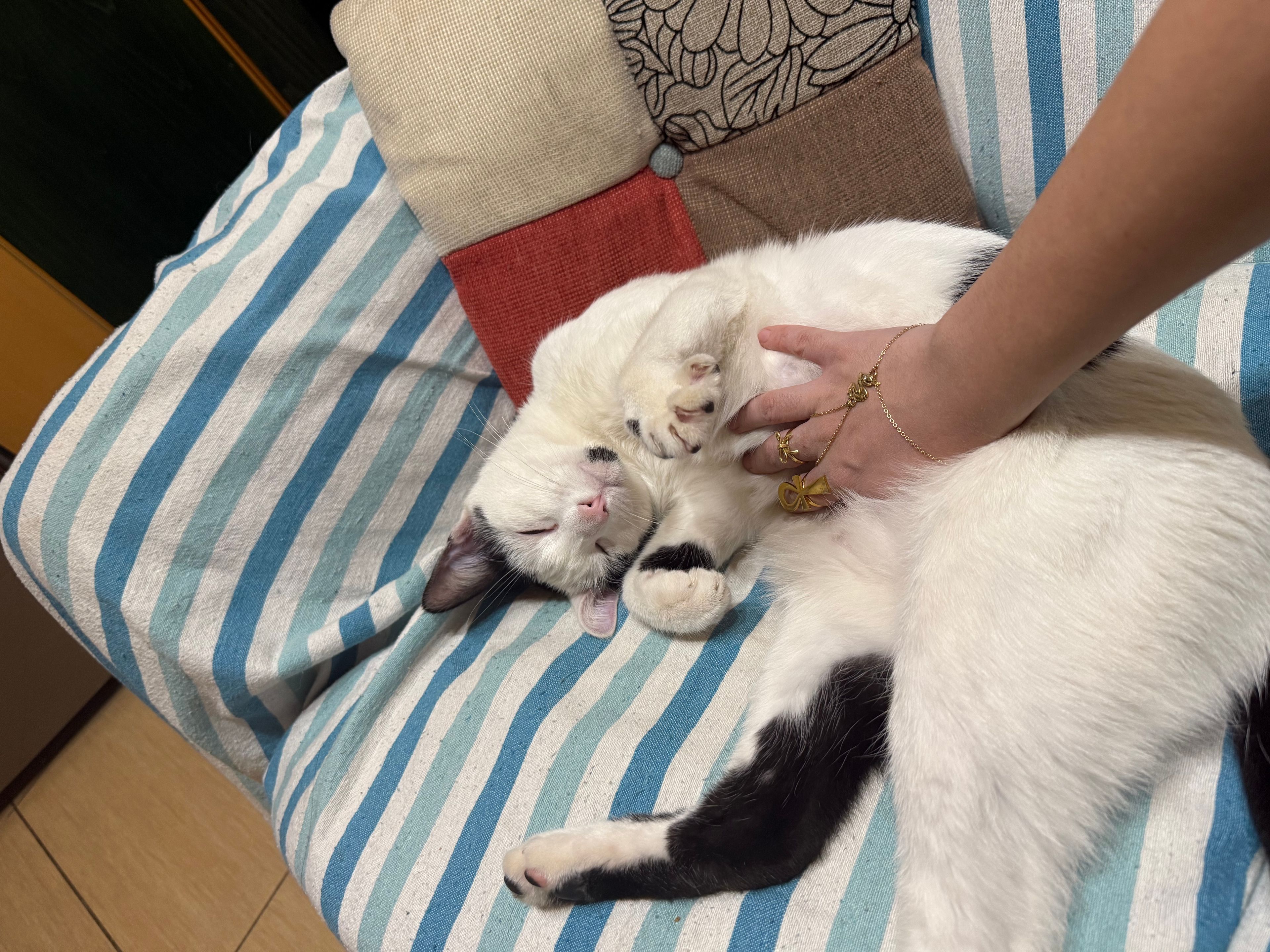 image-11