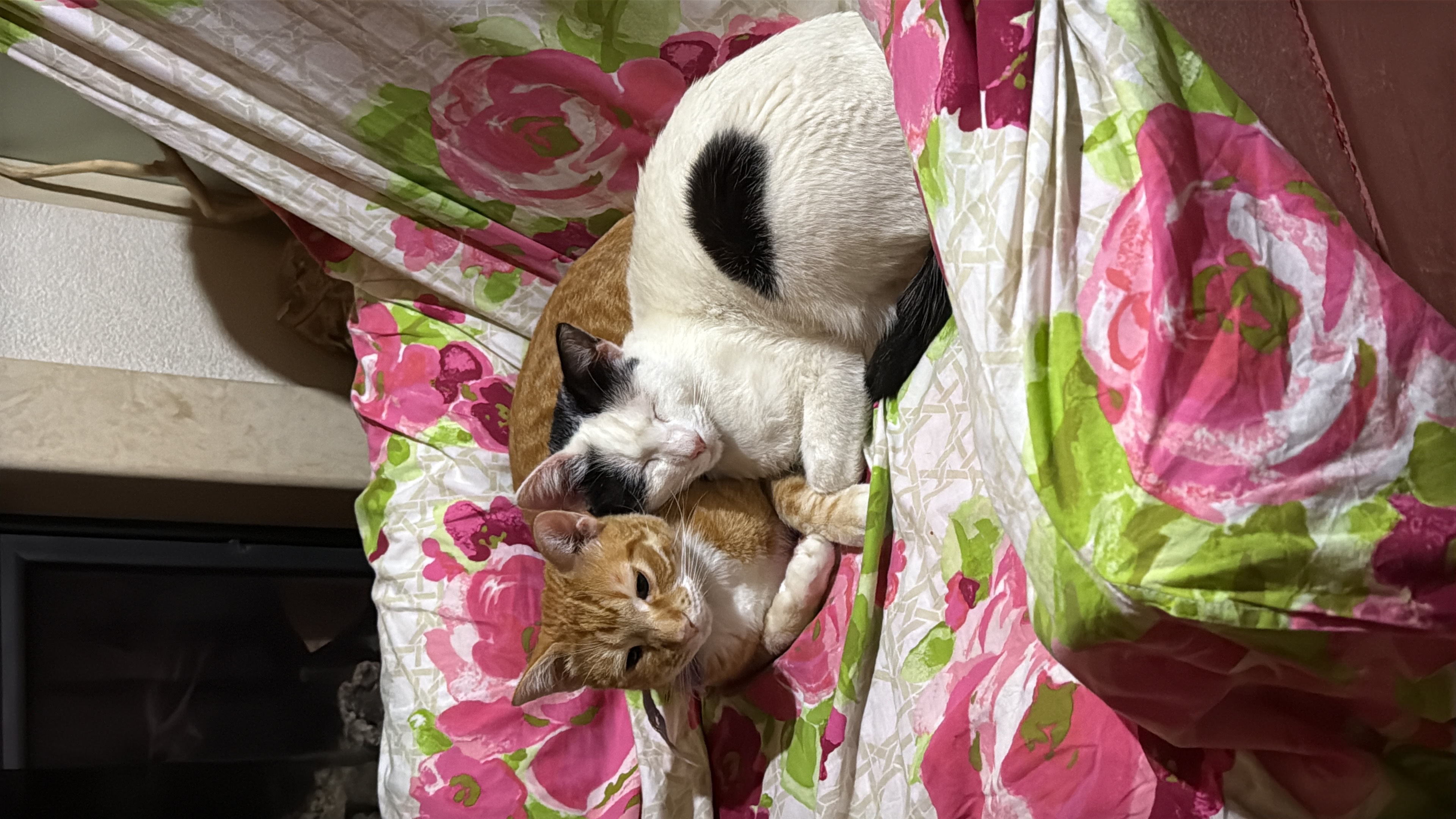 image-8