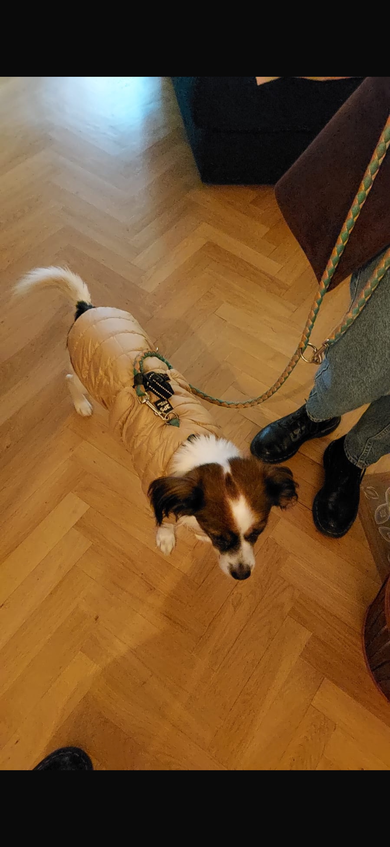 image-13