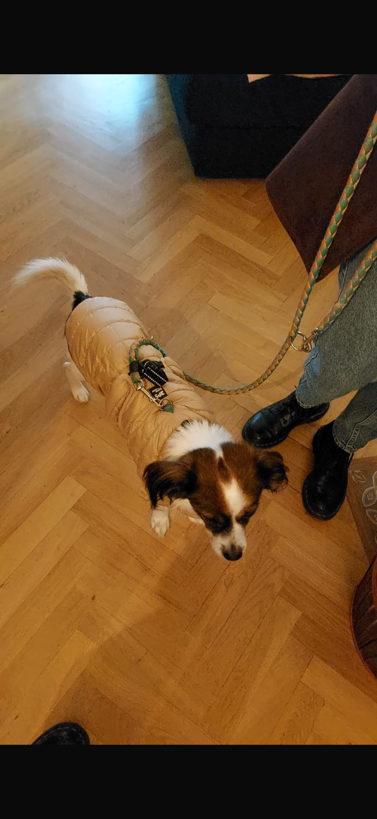image-13