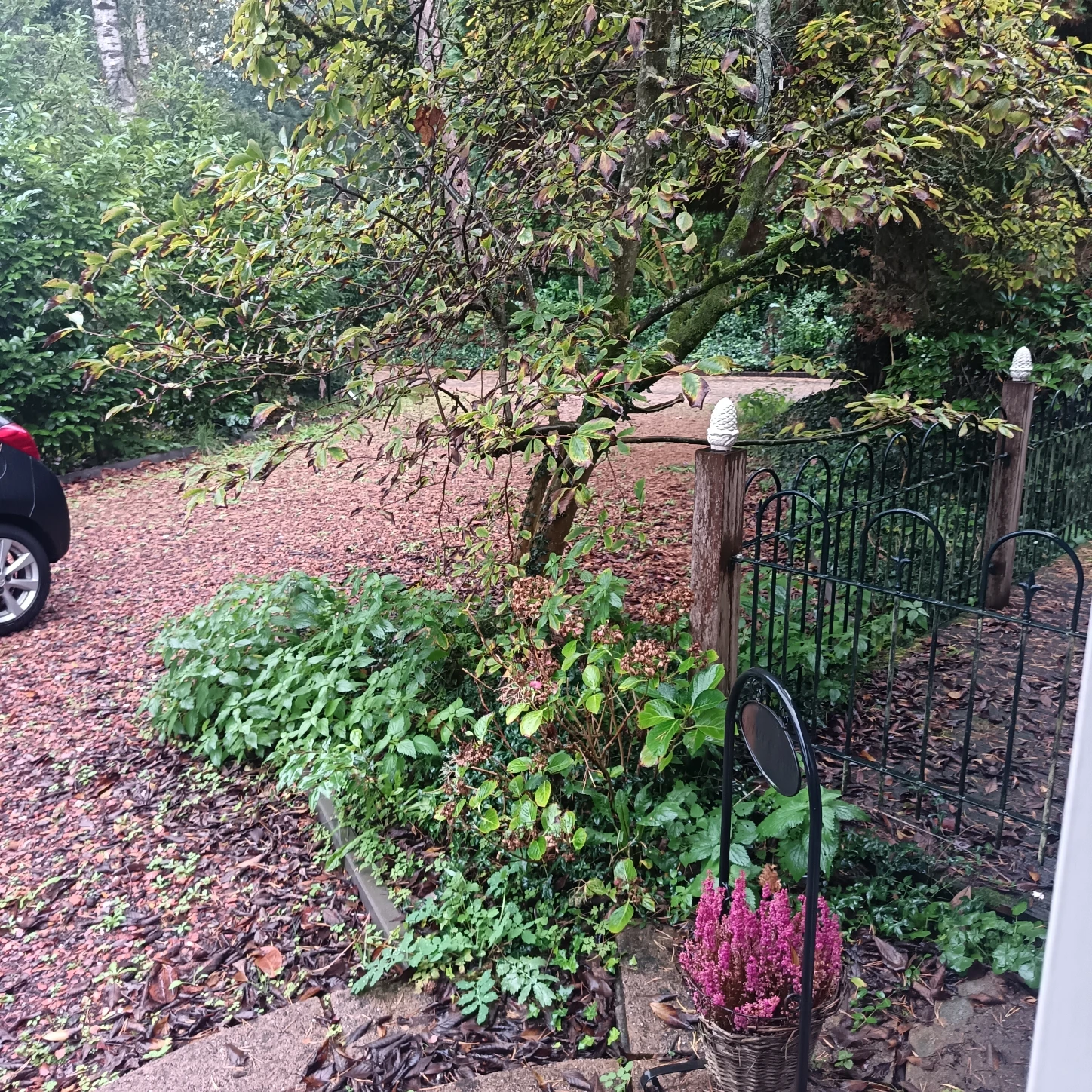 image-18