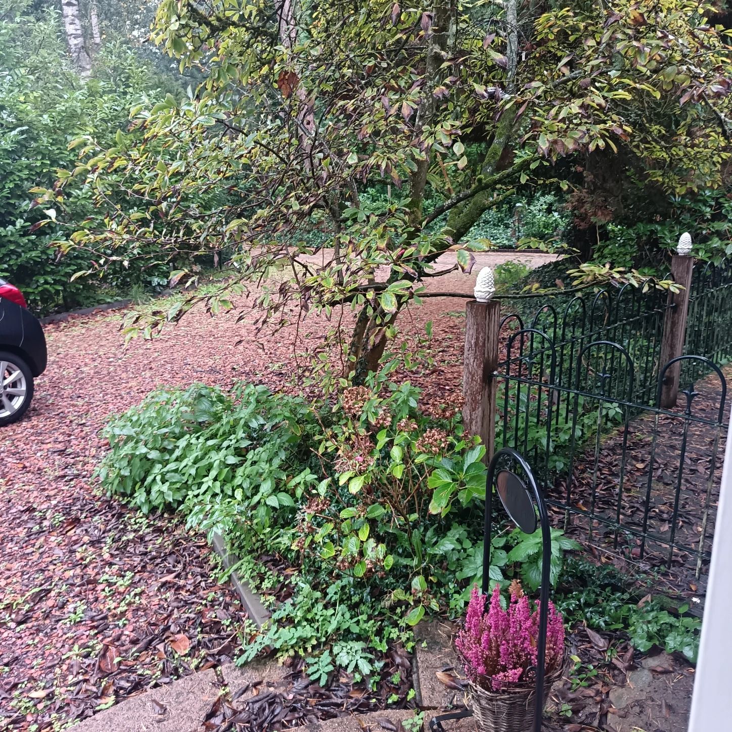 image-18