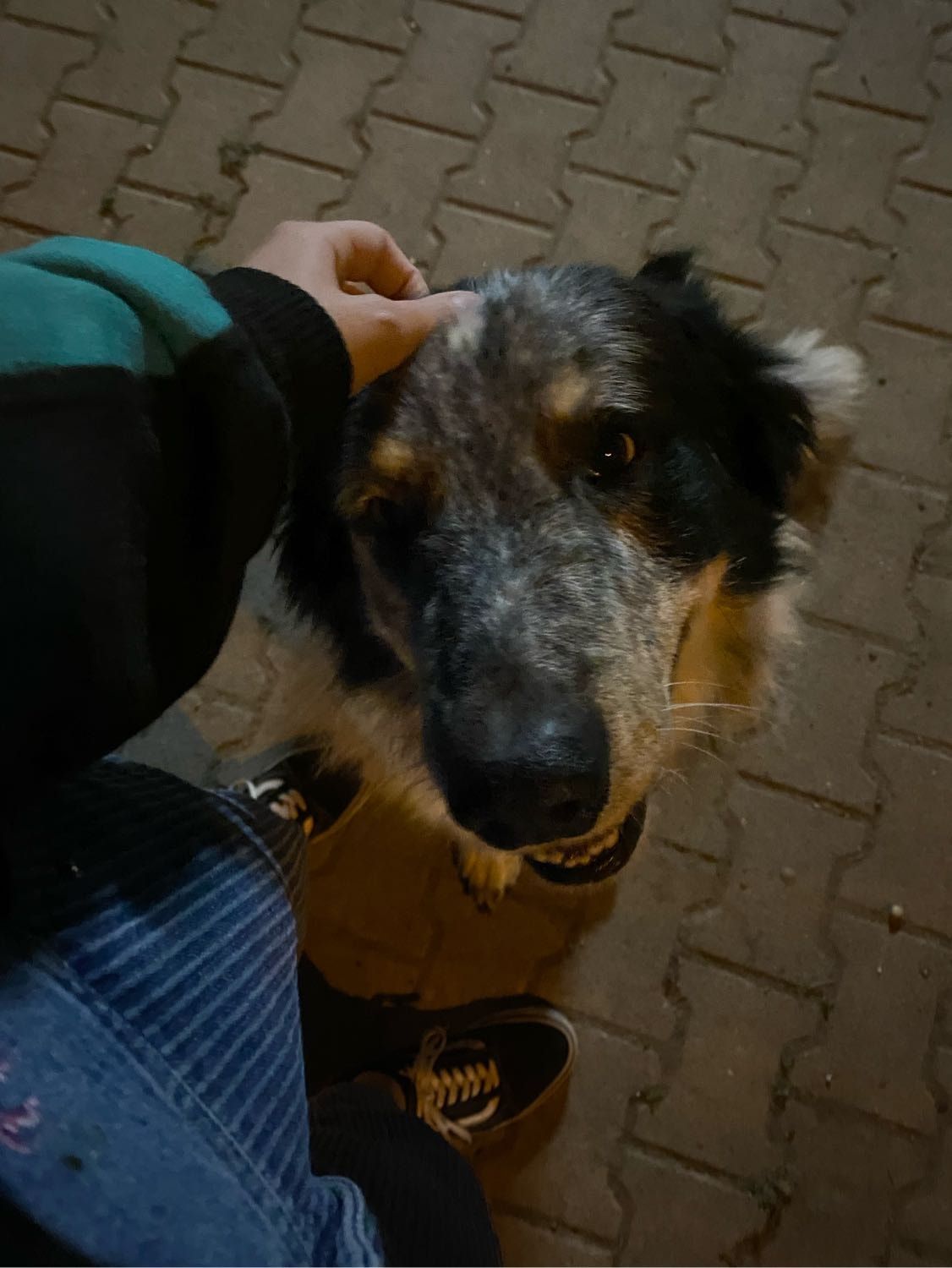 image-8