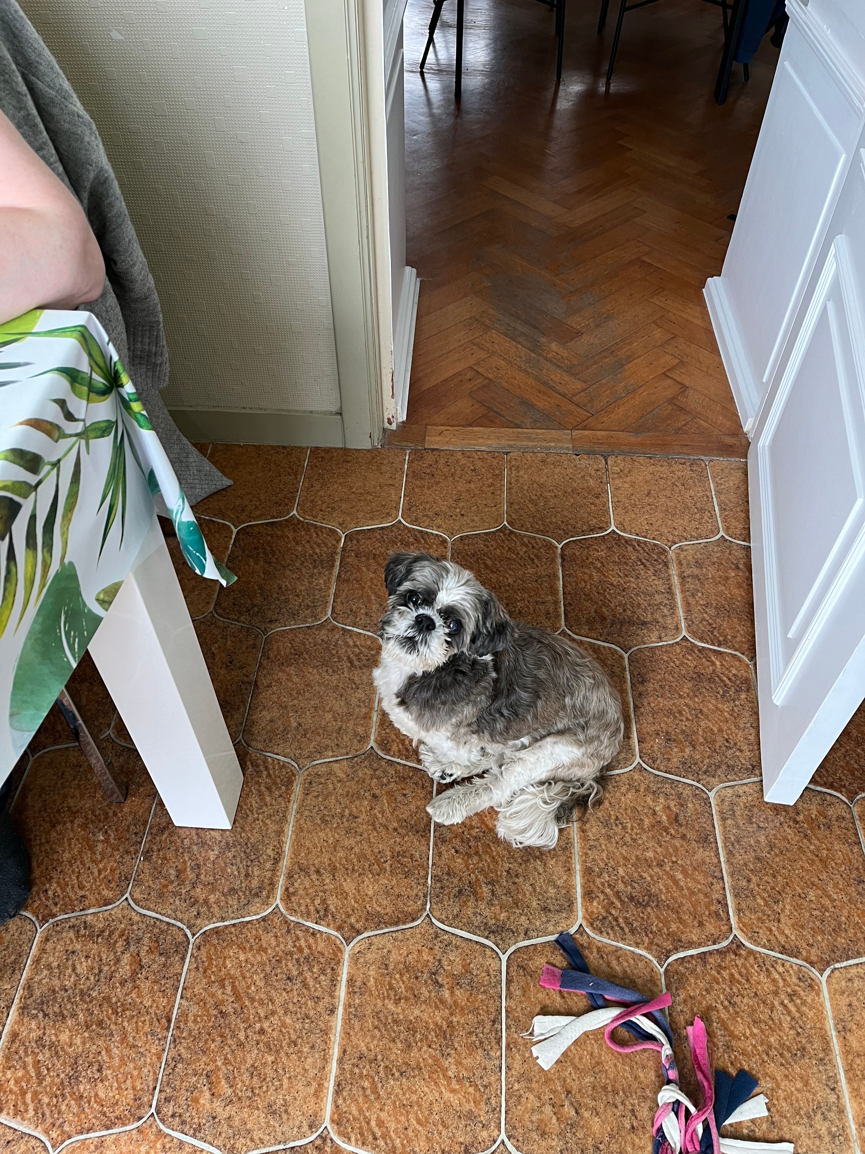 image-19