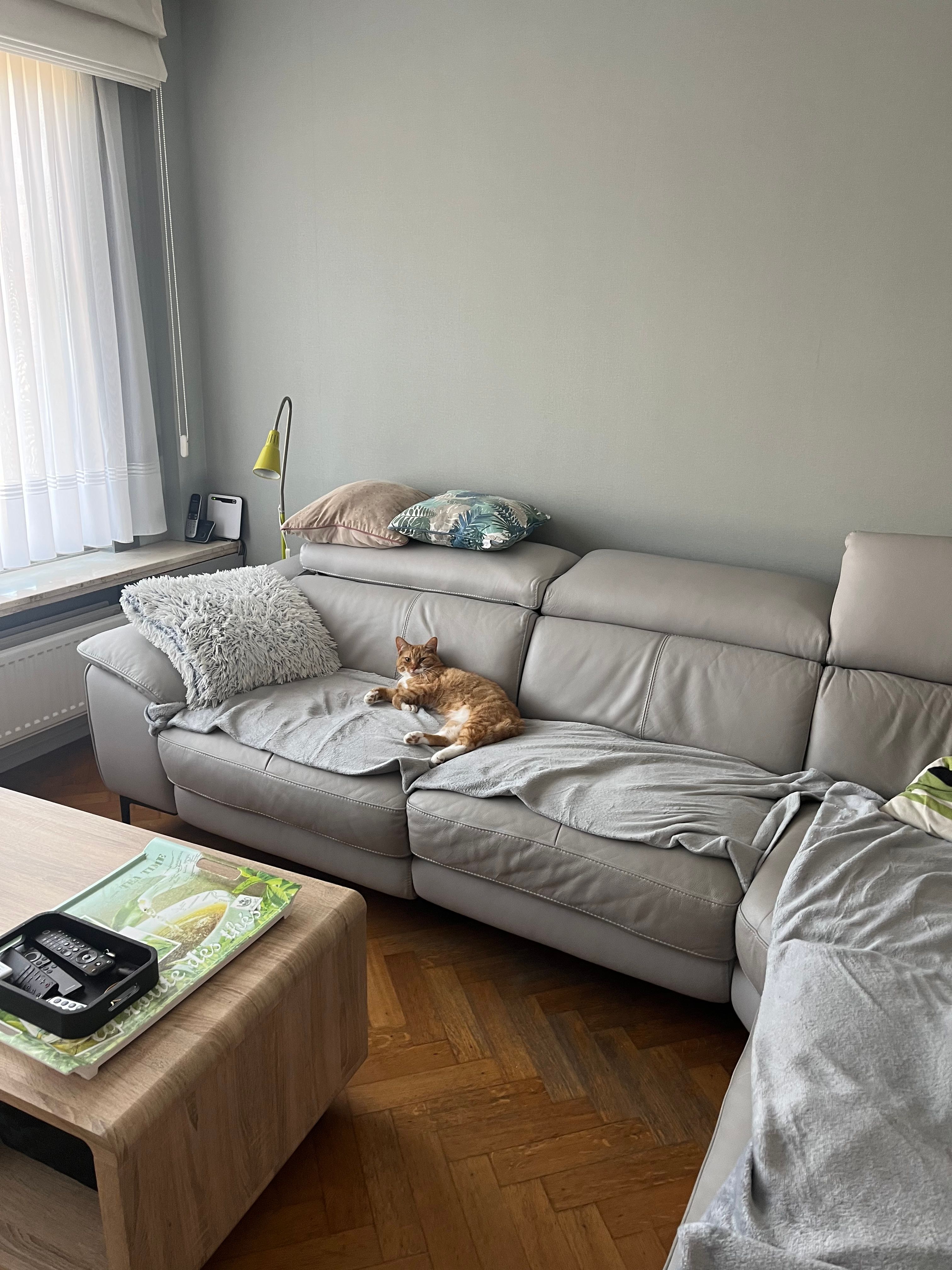 image-16