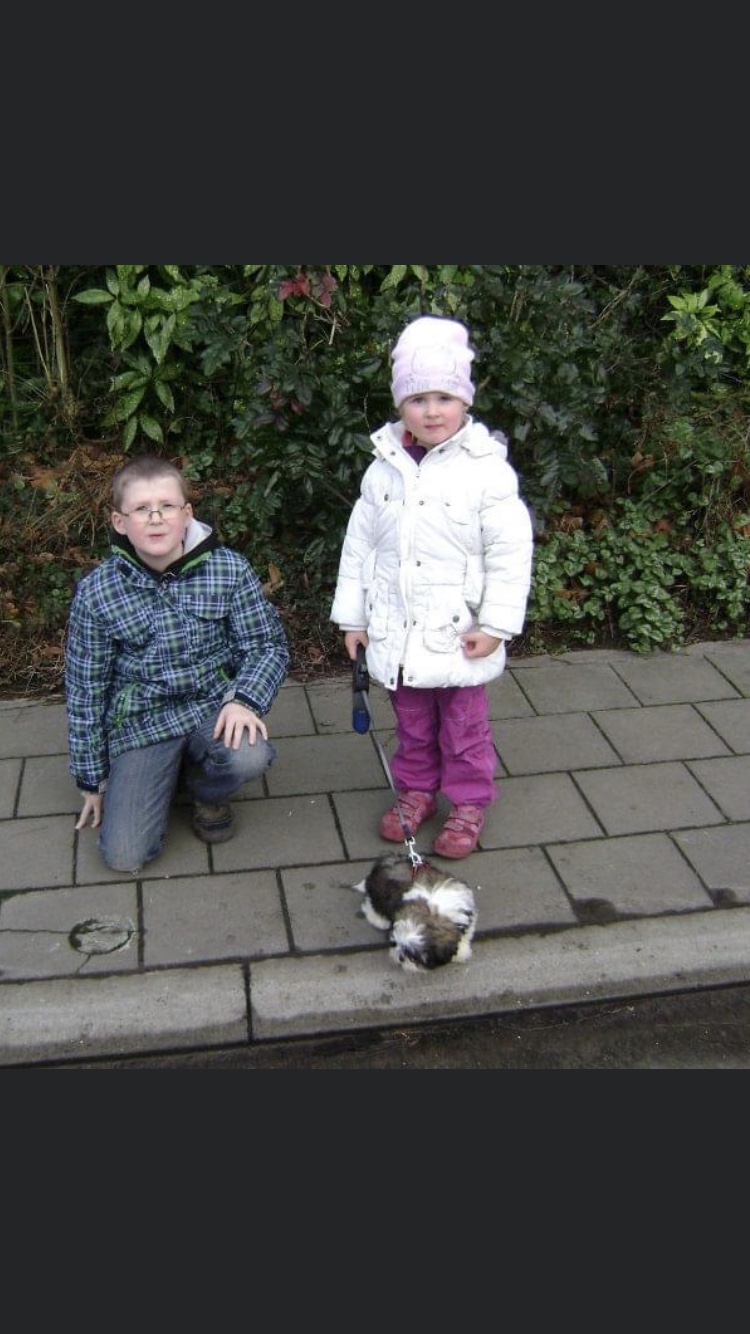 image-6