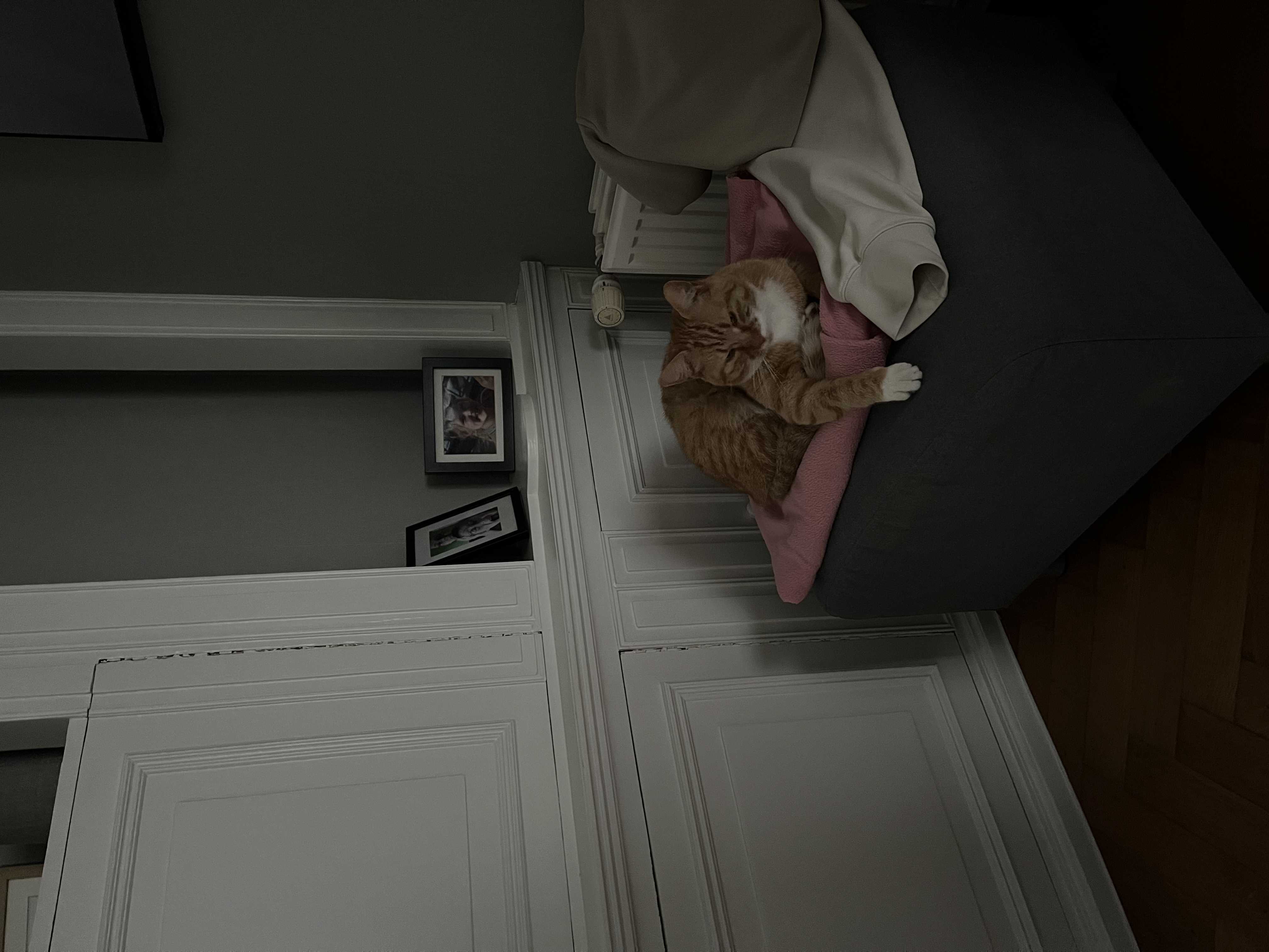 image-17
