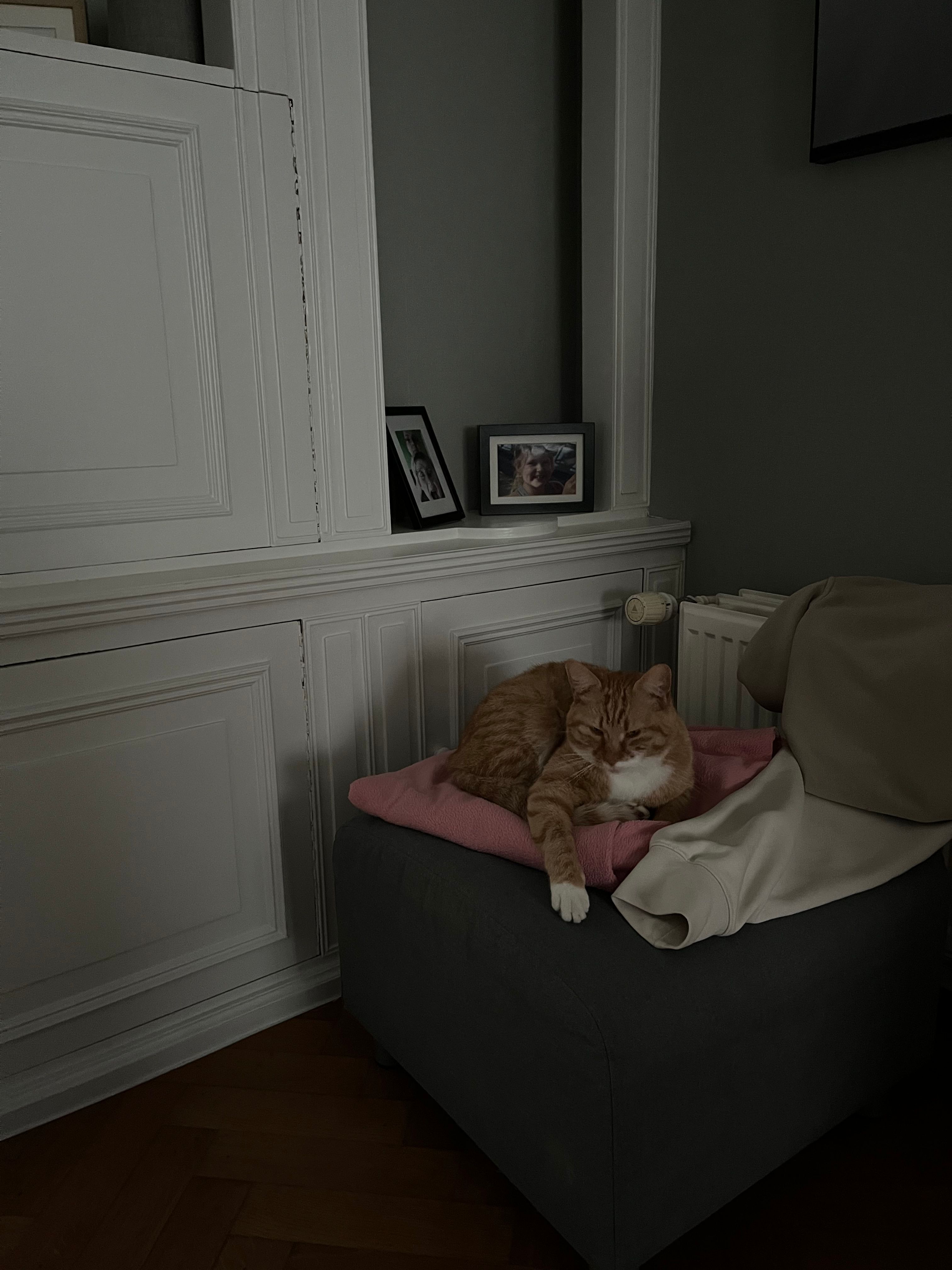 image-17