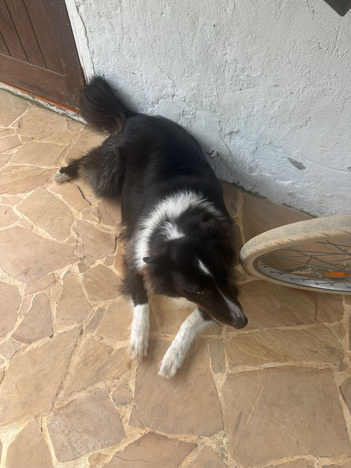 image-10