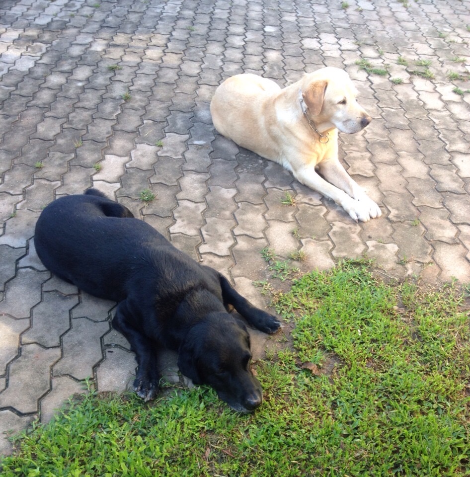 image-4