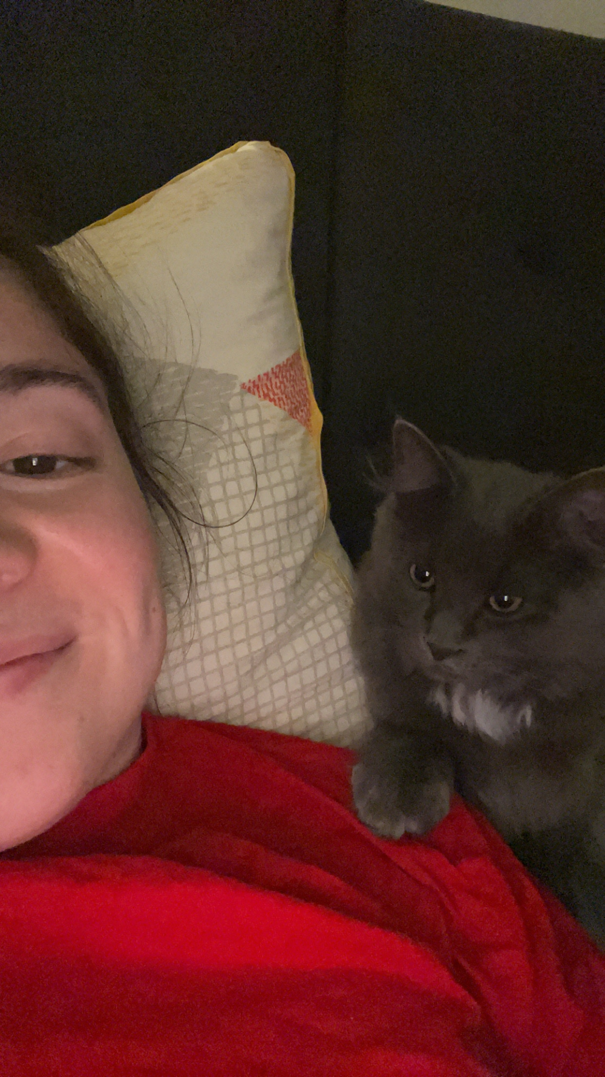 image-4