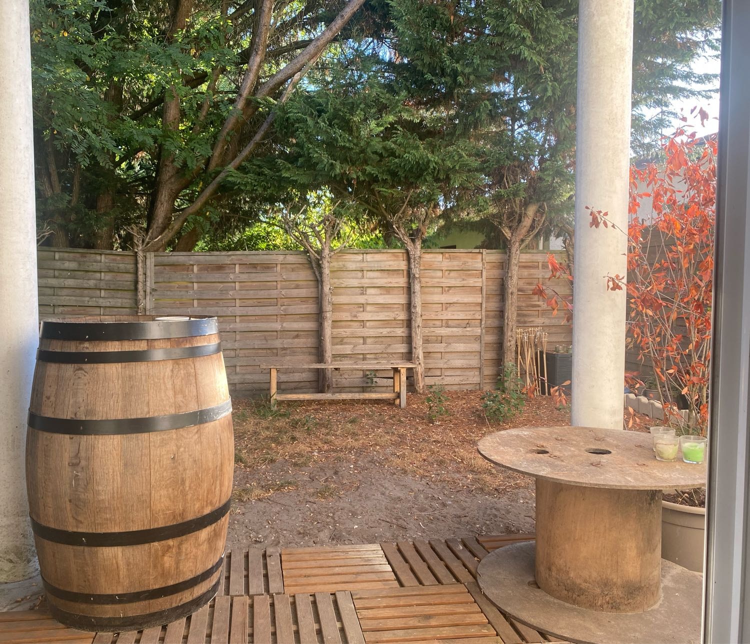 image-7