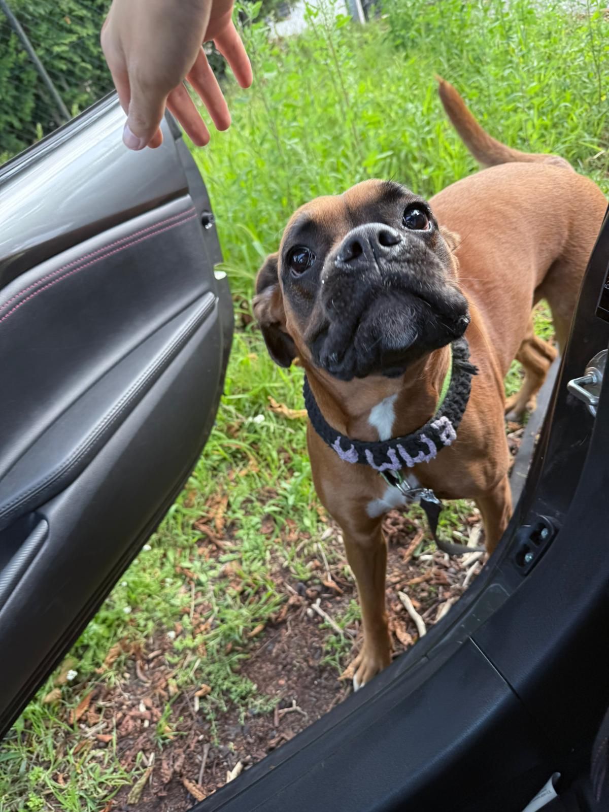 image-5