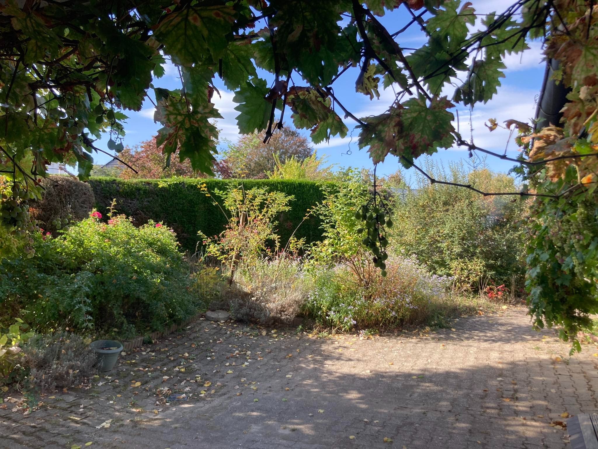 image-17