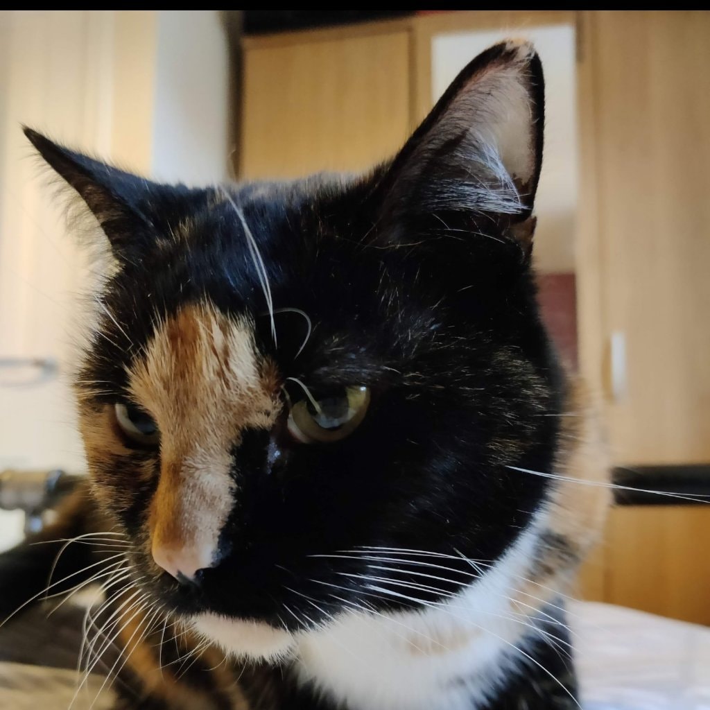 Lola