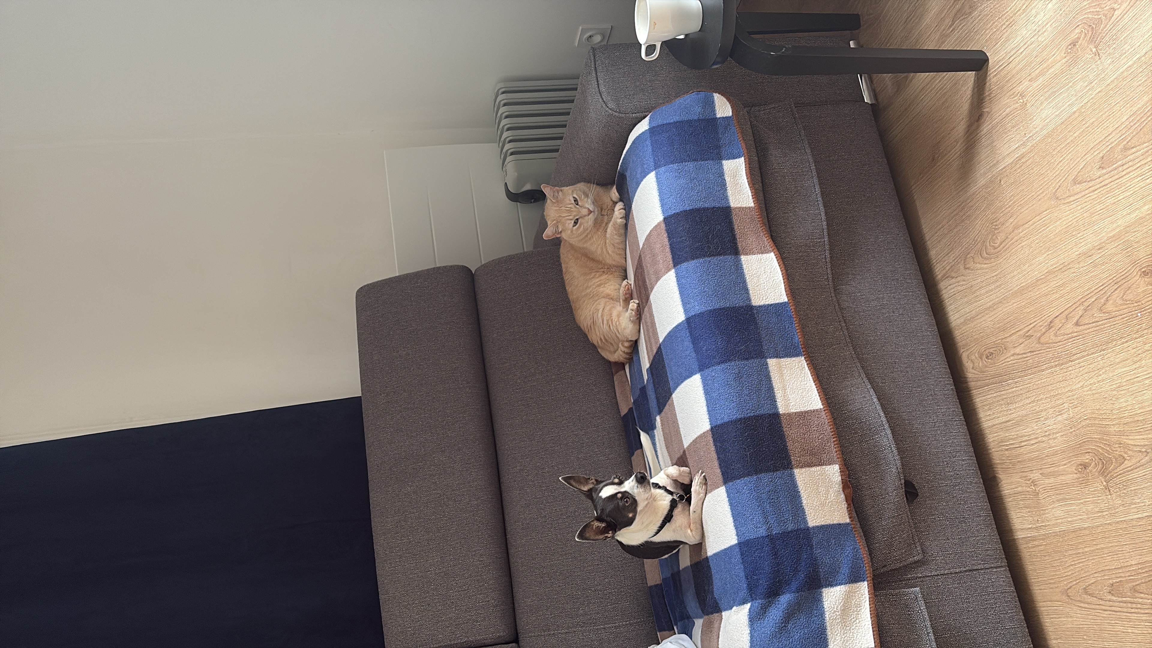 image-16