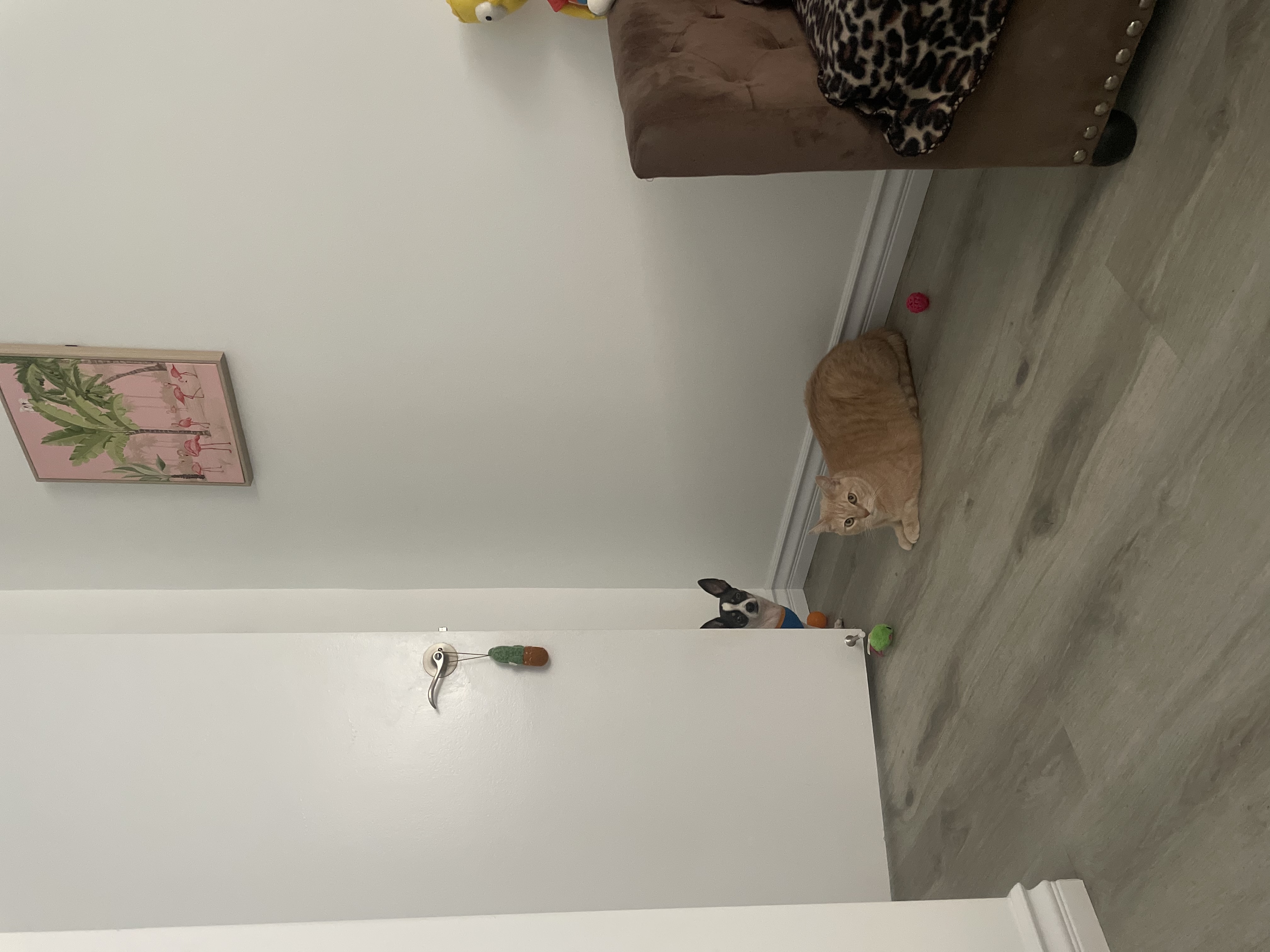 image-17
