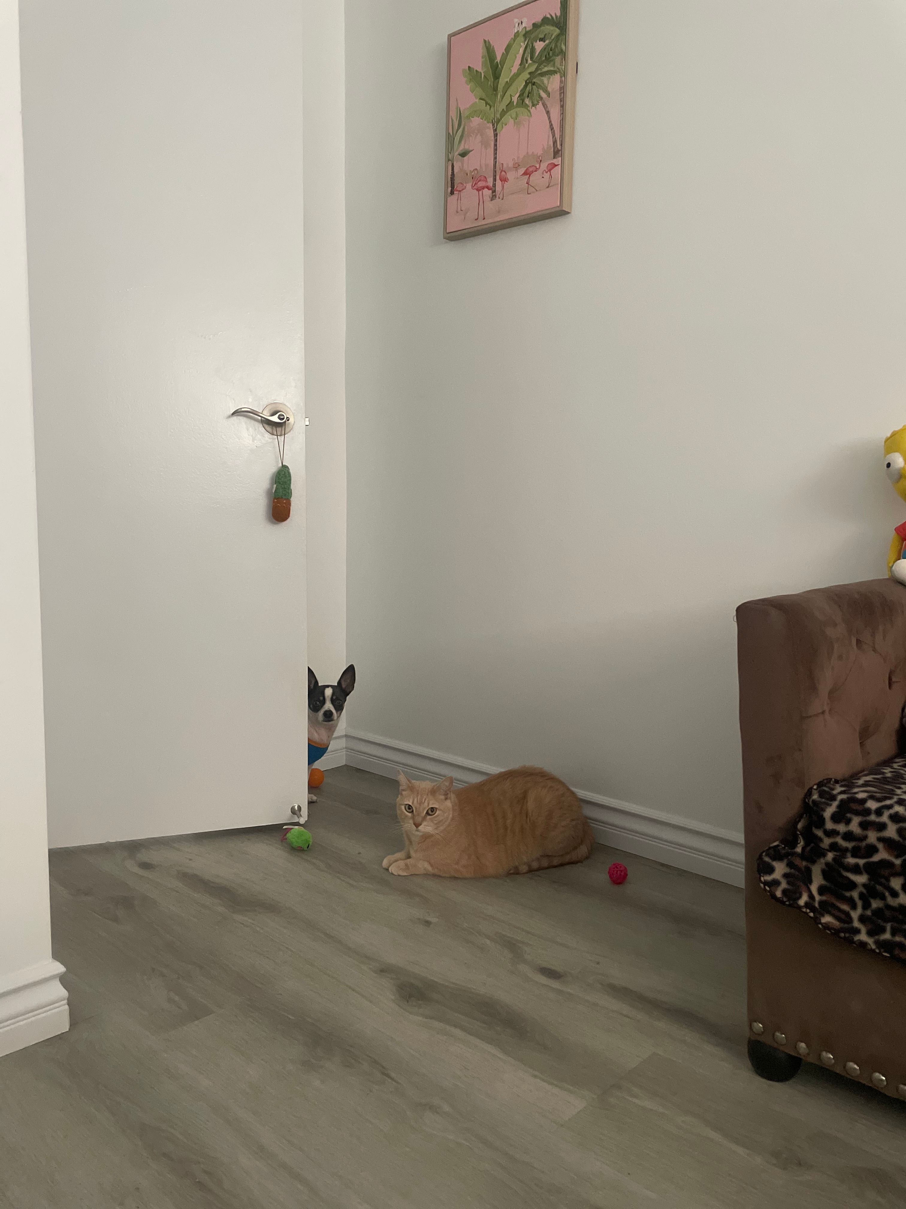 image-17
