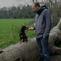 Maarten