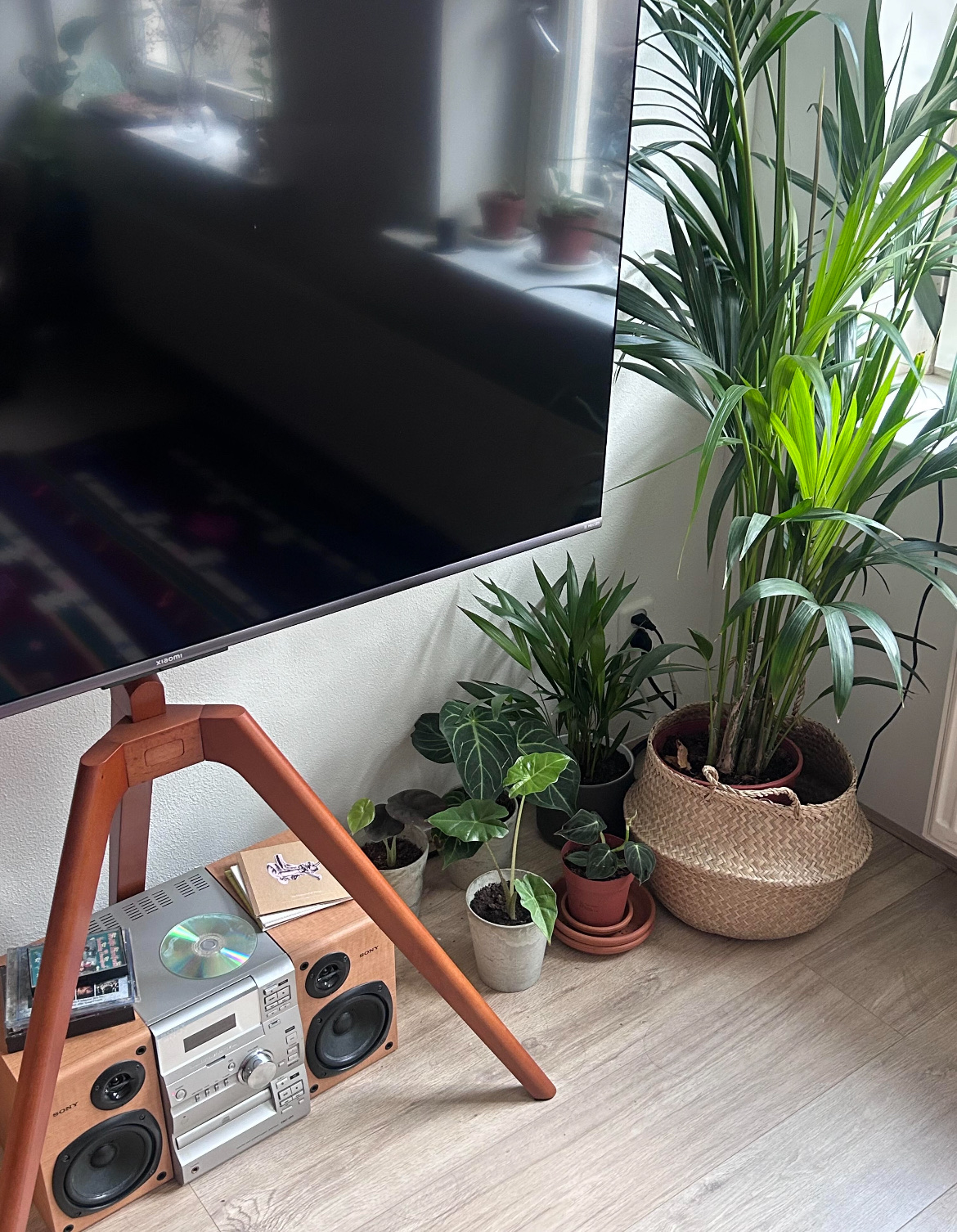 image-7