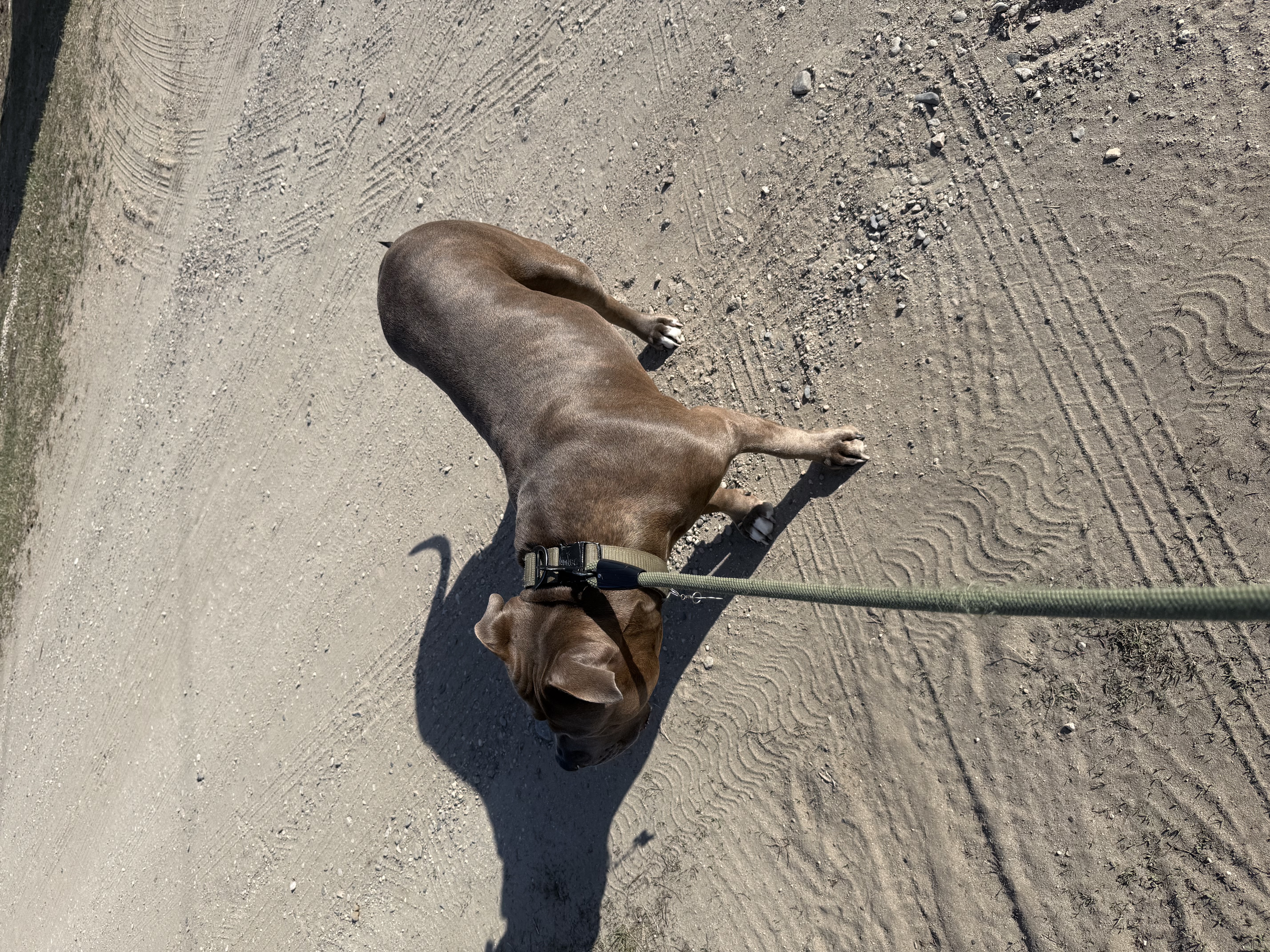 image-8