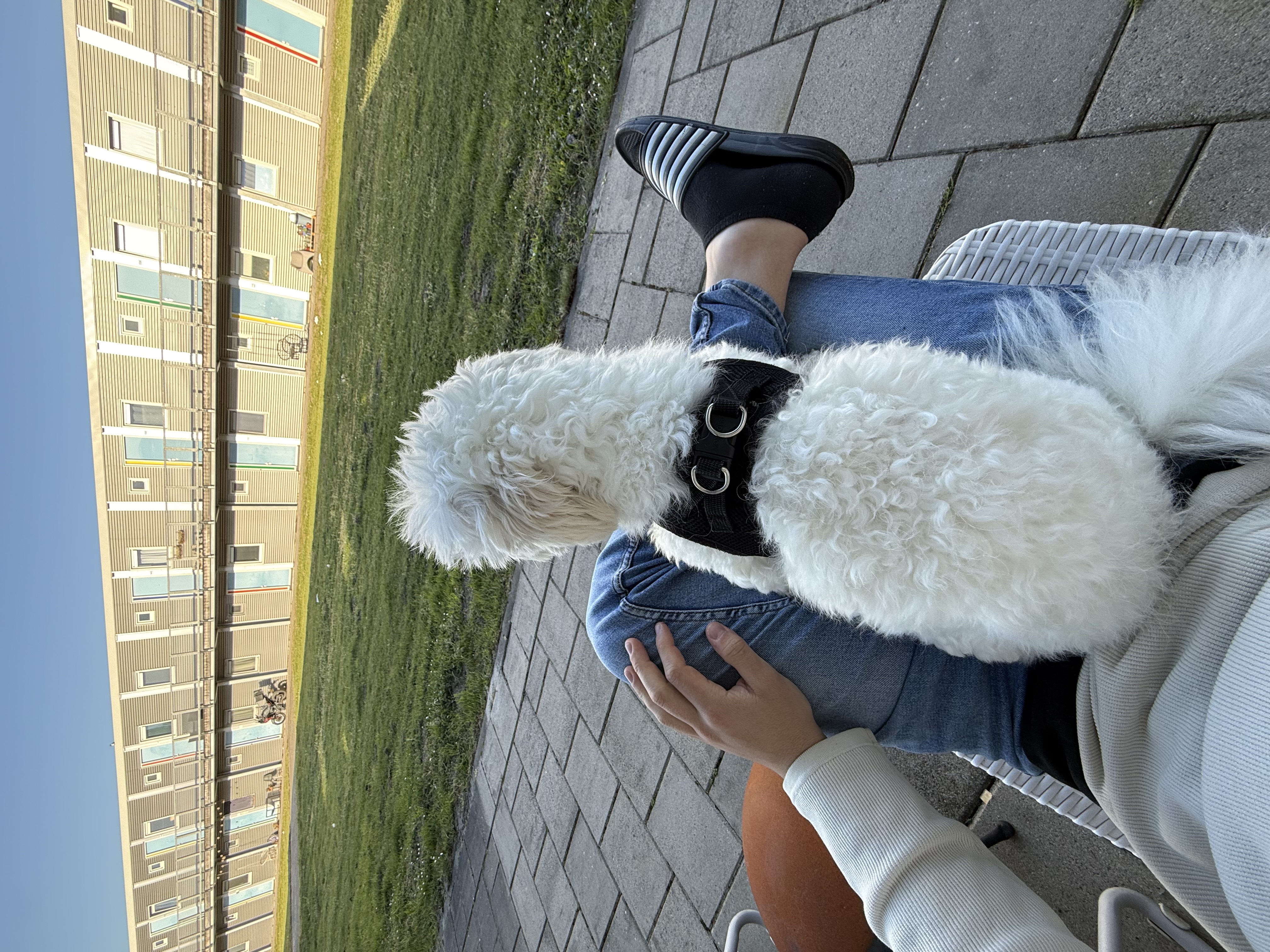 image-9