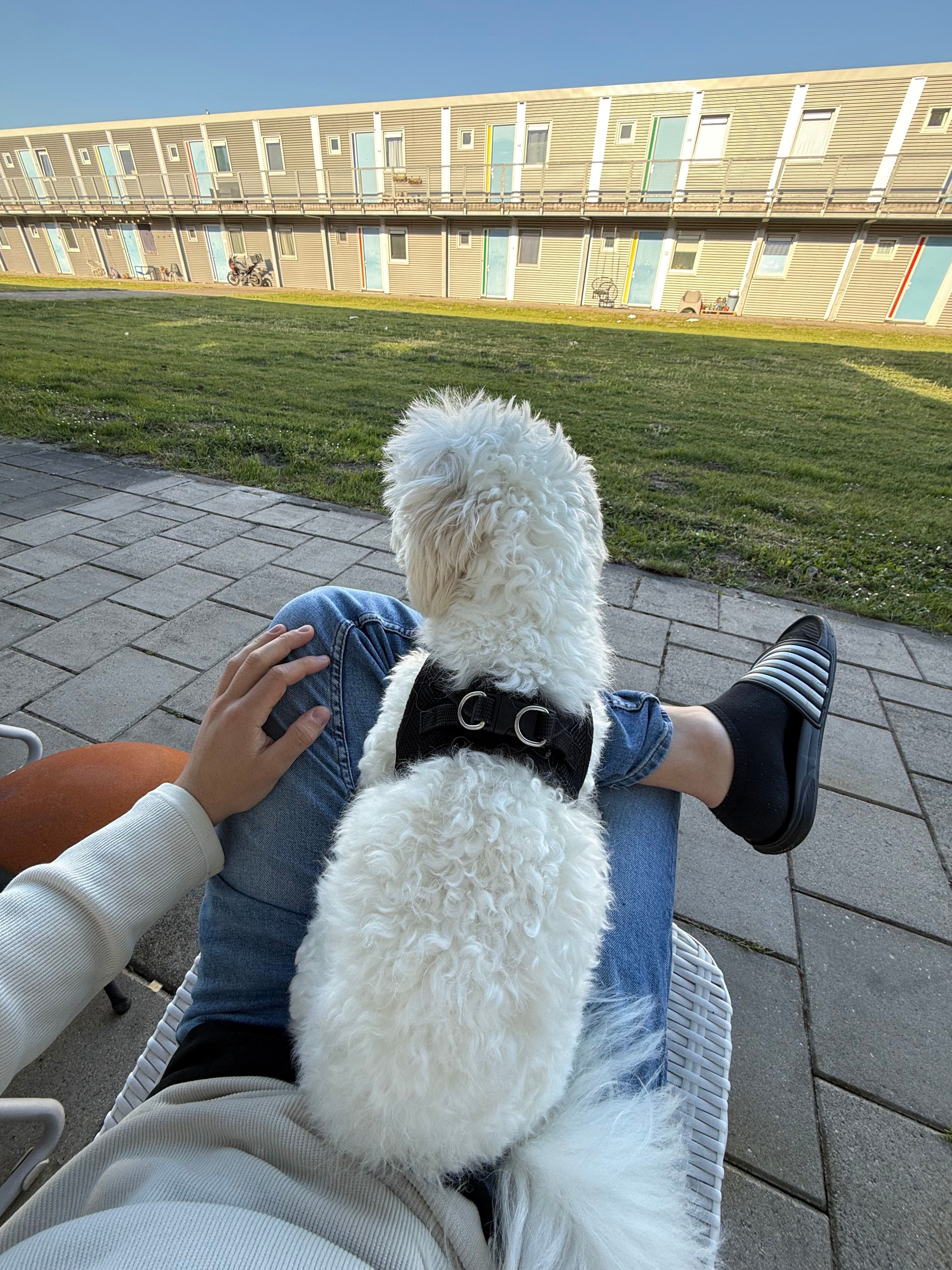 image-9