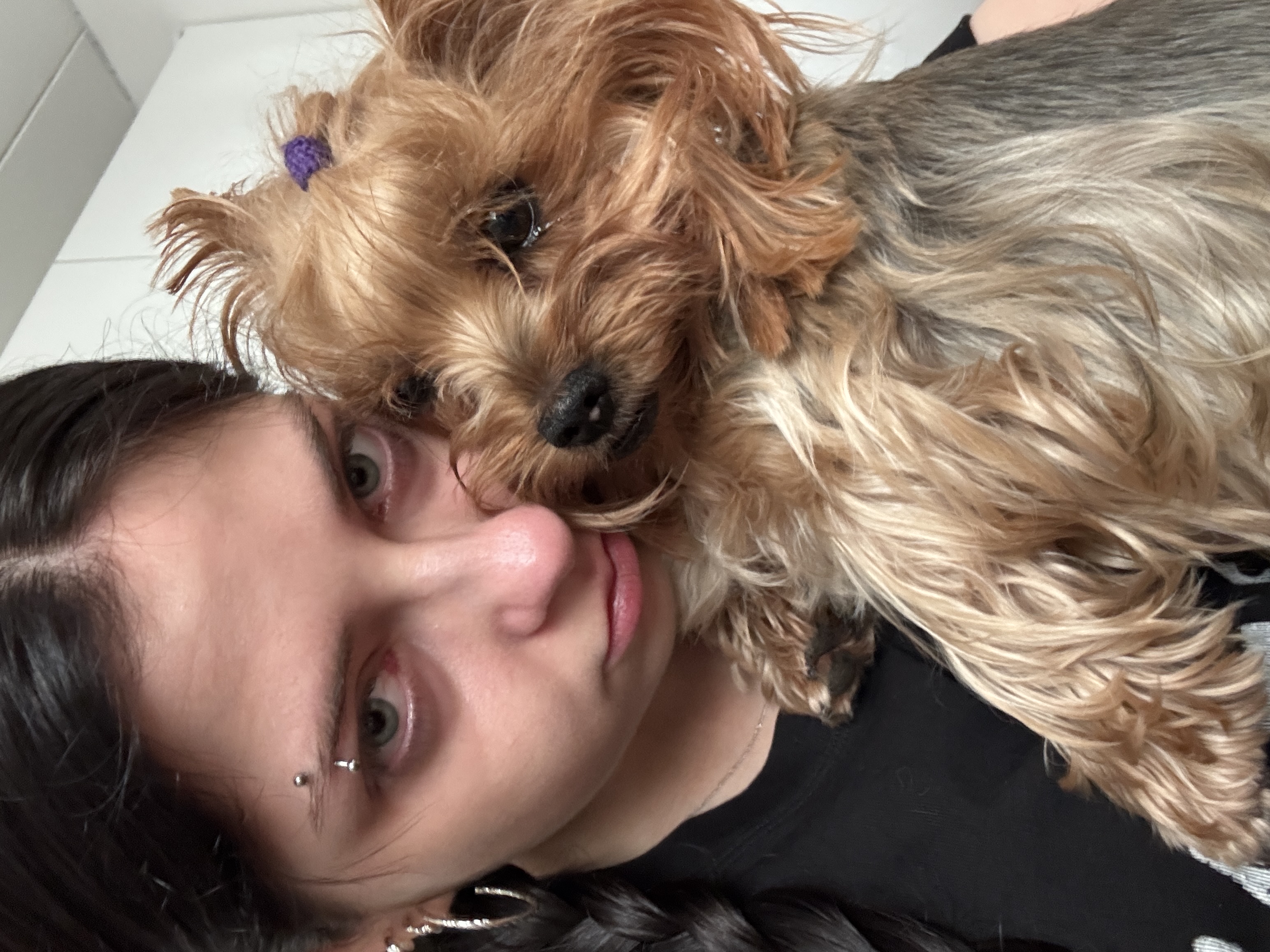 image-8