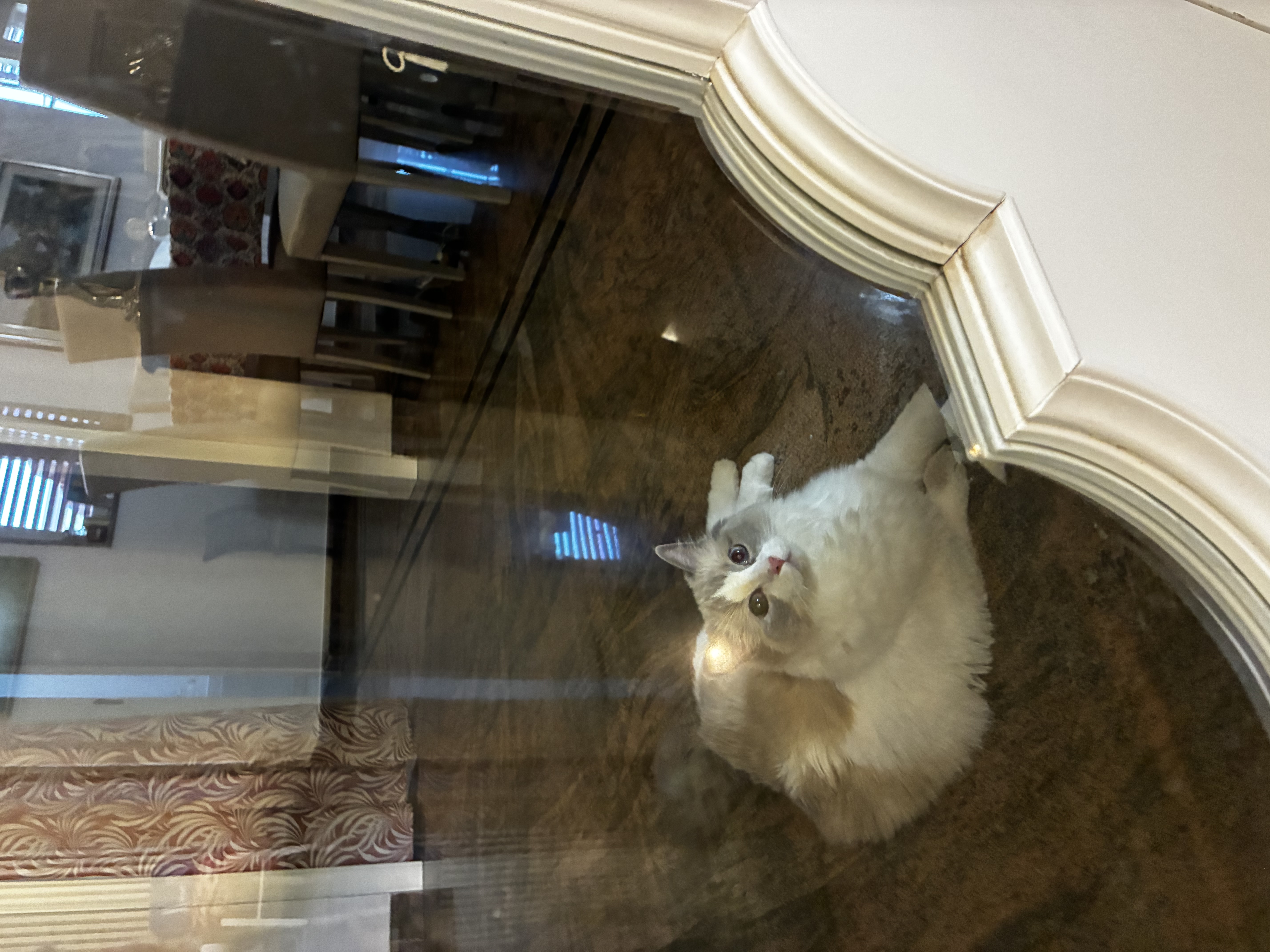 image-8