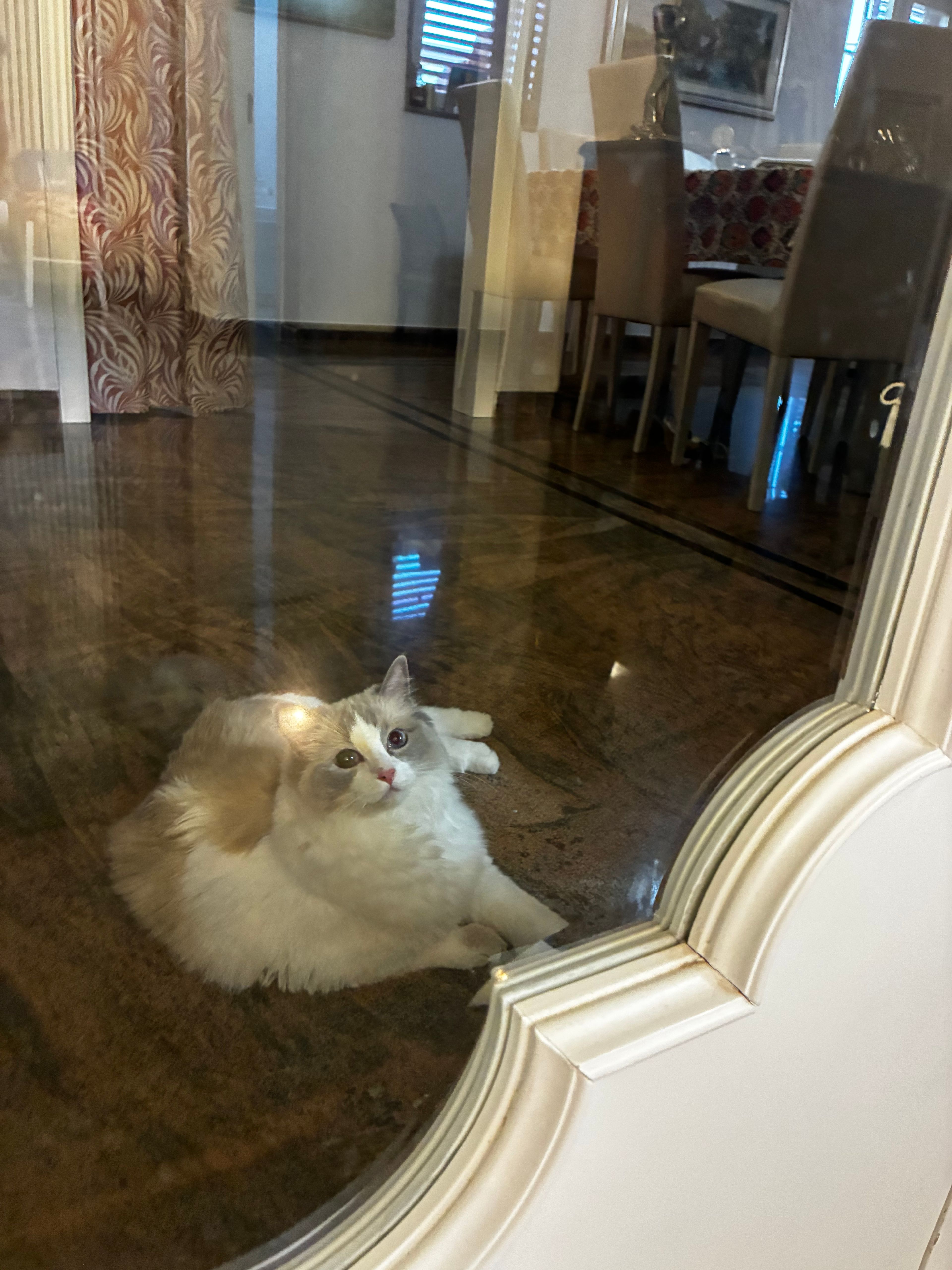 image-8