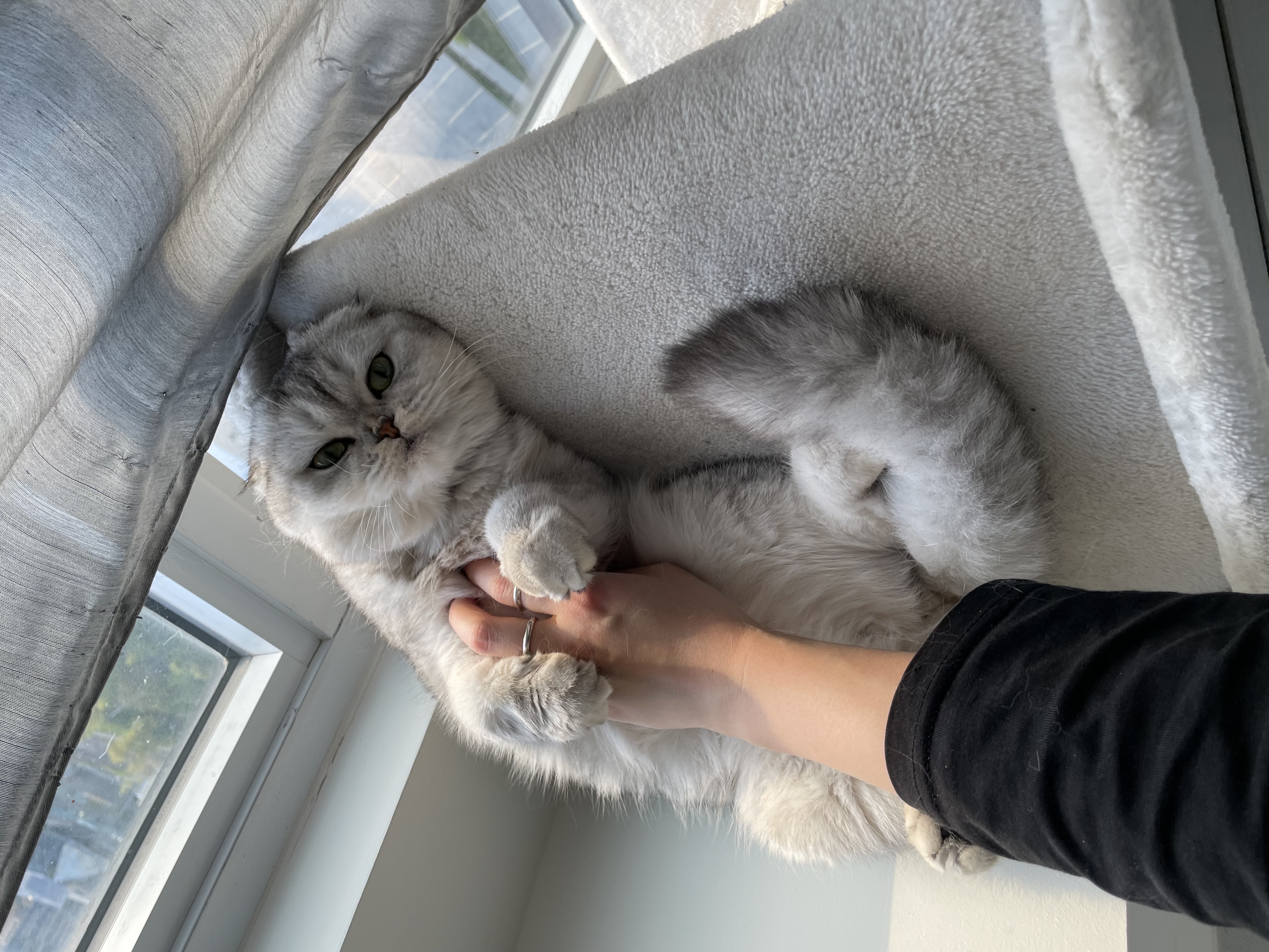image-6