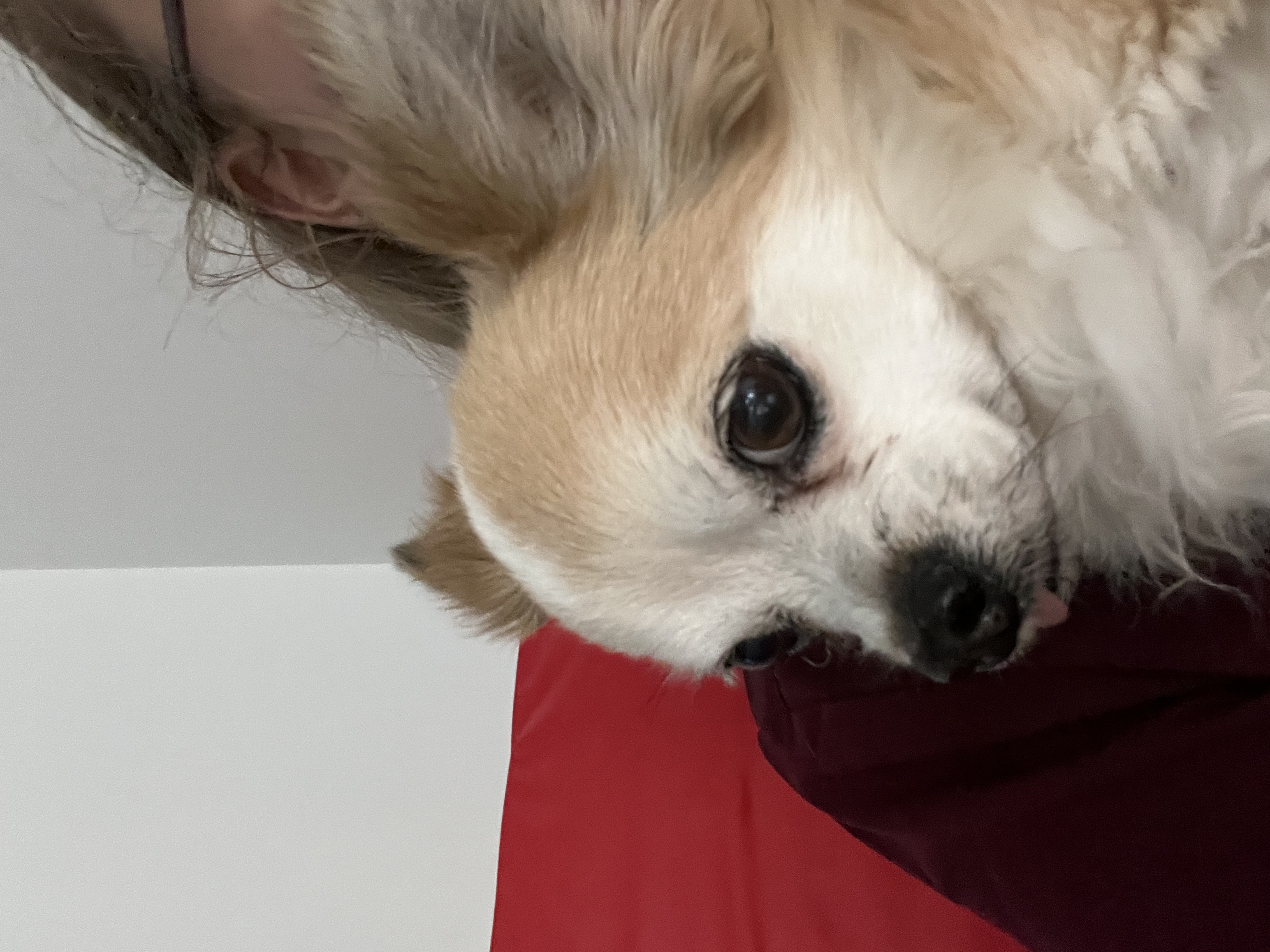 image-15