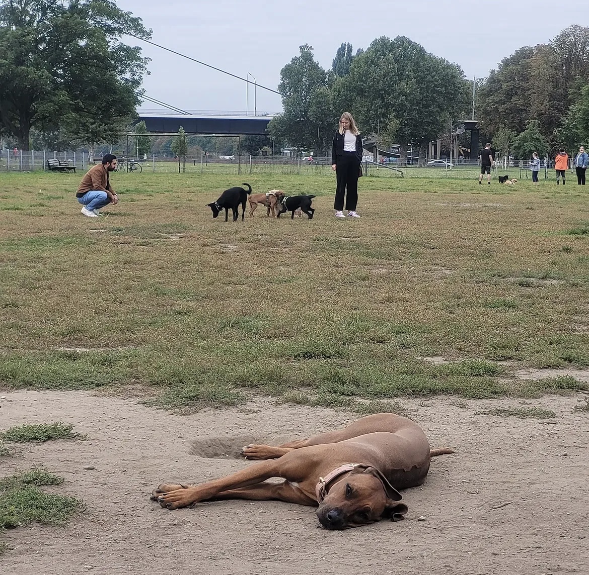 image-15